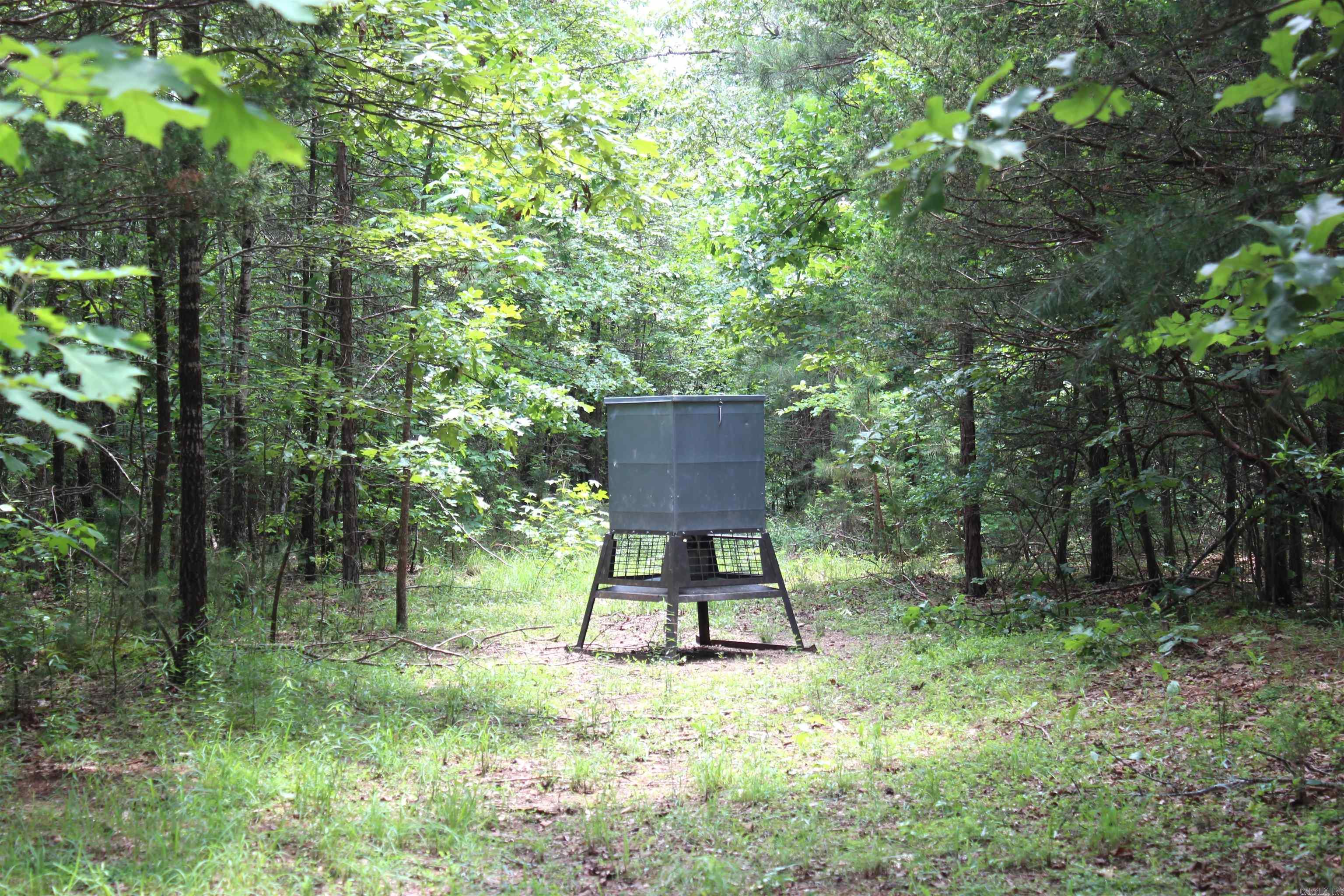 623  Batesville Mountain  Damascus, AR