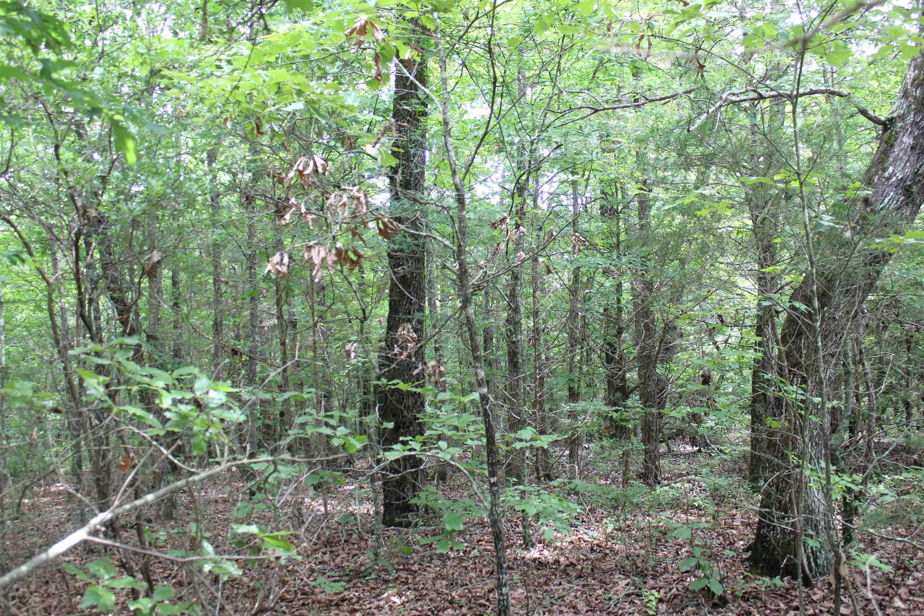 623  Batesville Mountain  Damascus, AR