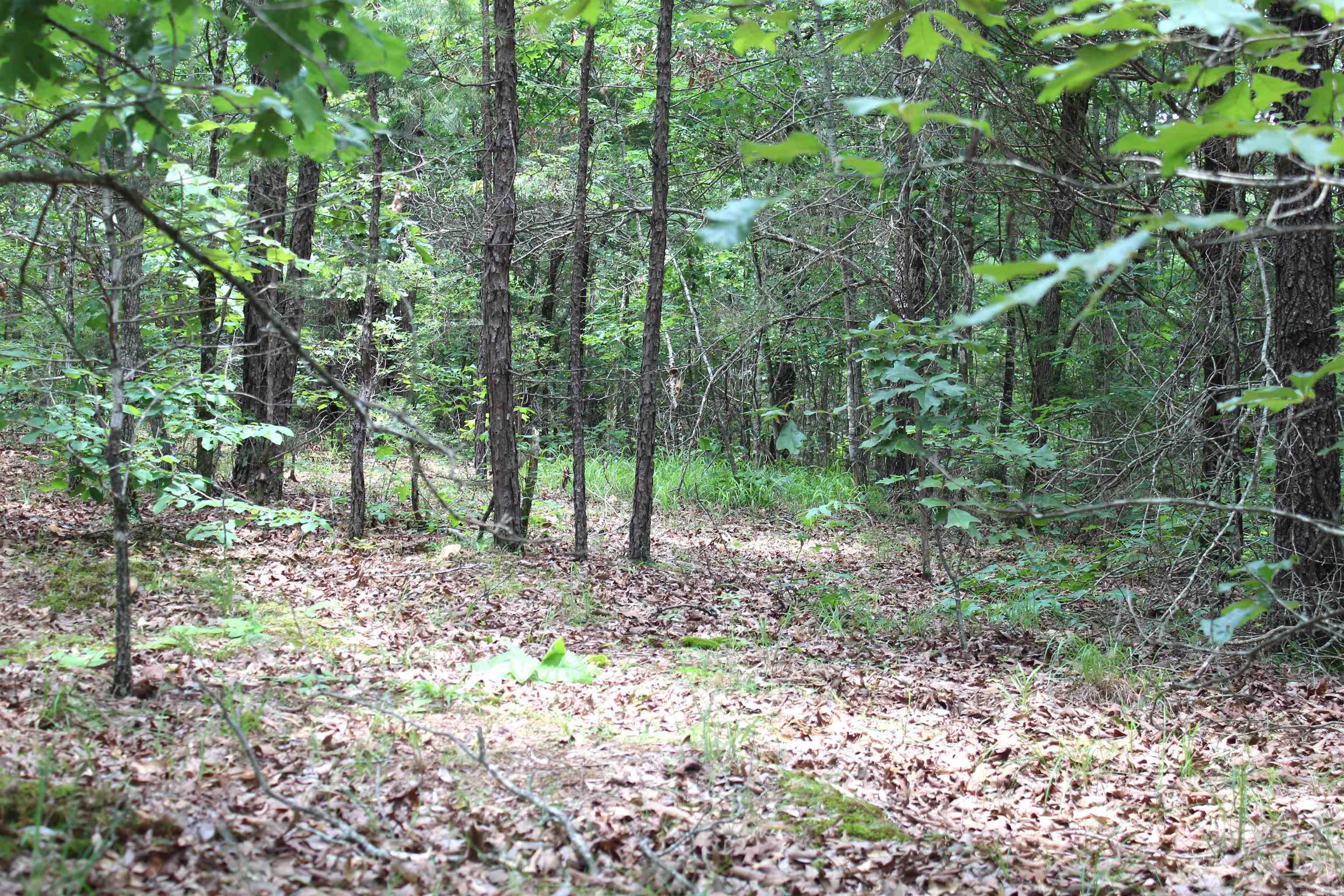 623  Batesville Mountain  Damascus, AR