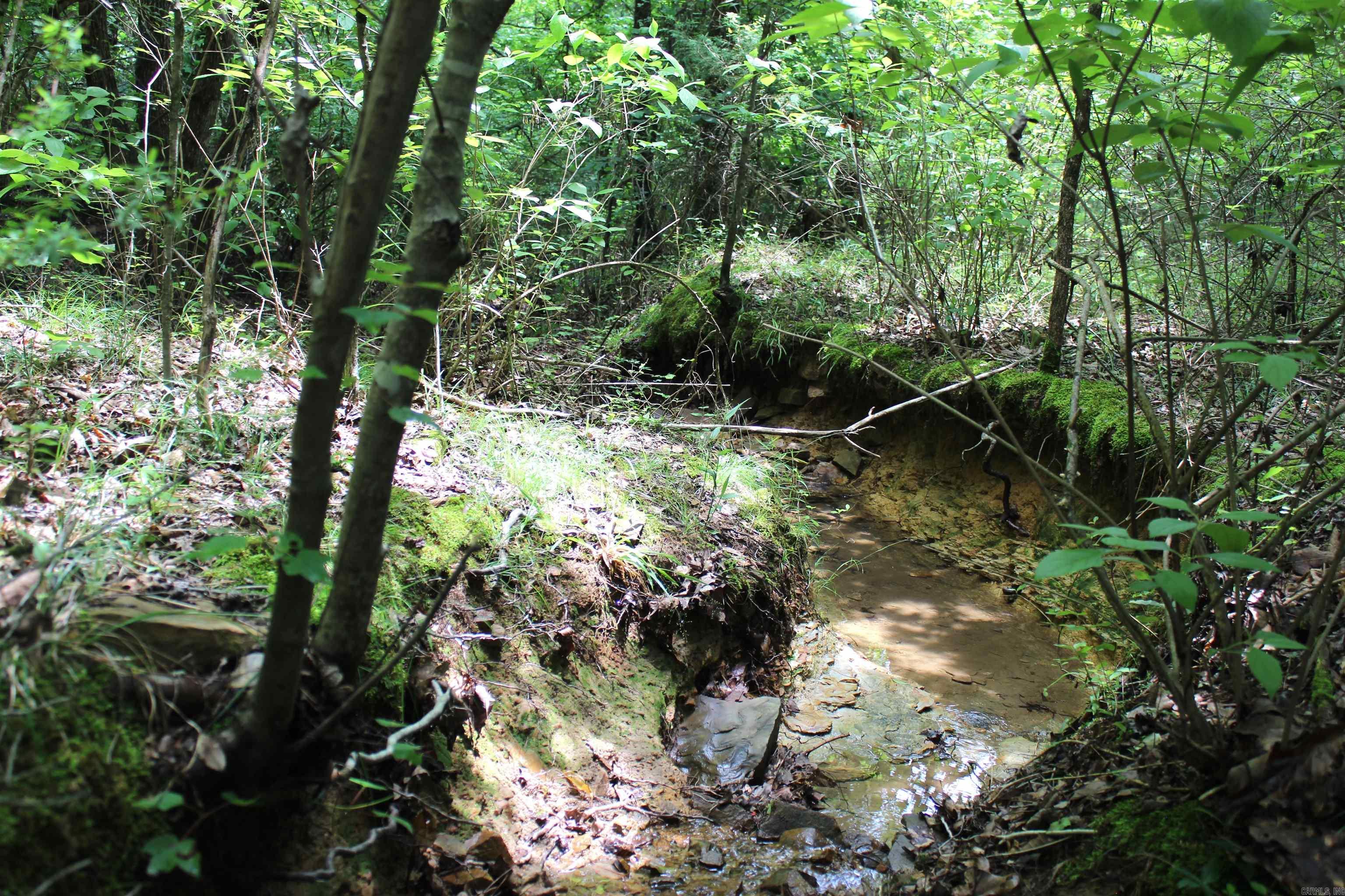 623 Batesville Mountain  Damascus, AR