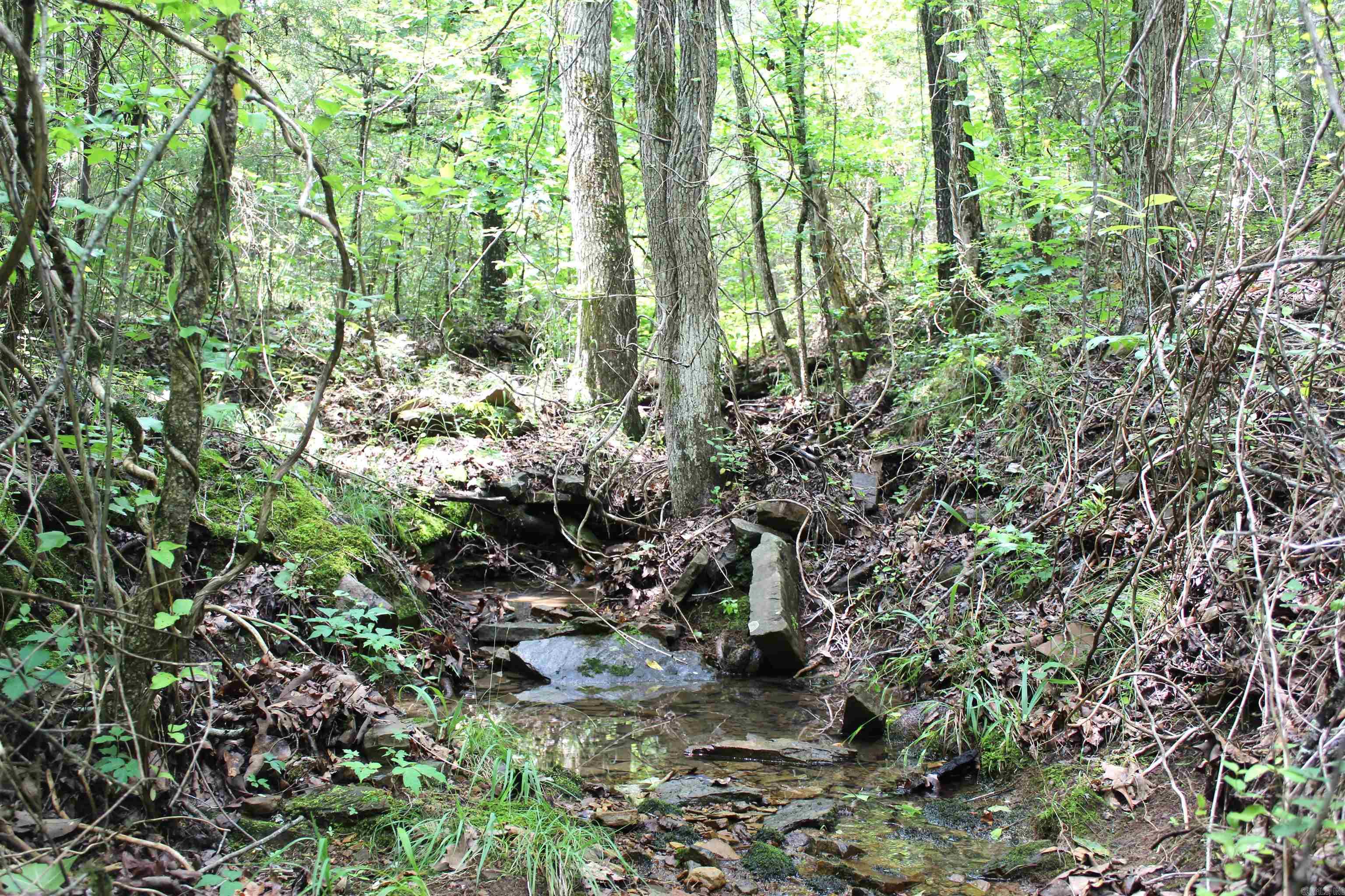 623  Batesville Mountain  Damascus, AR
