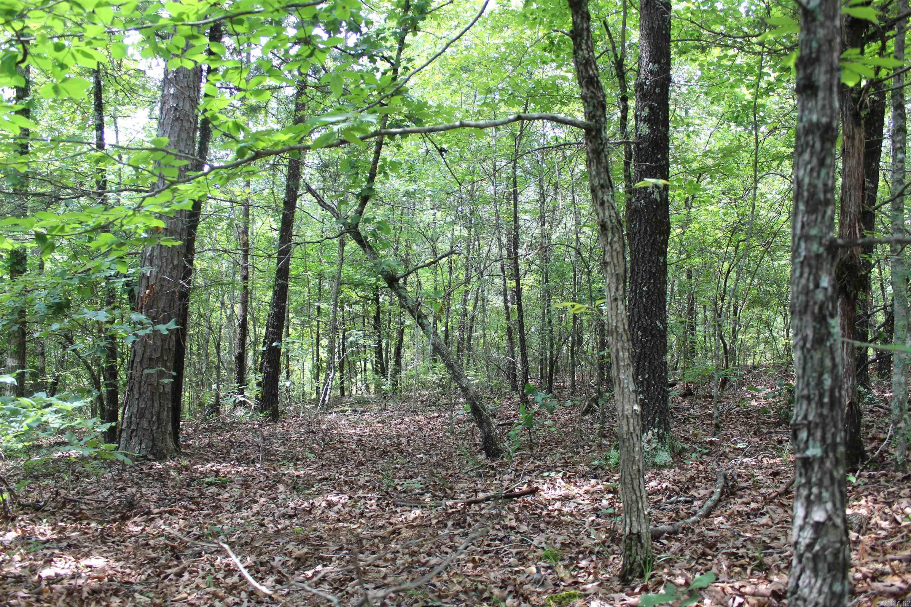 623 Batesville Mountain  Damascus, AR