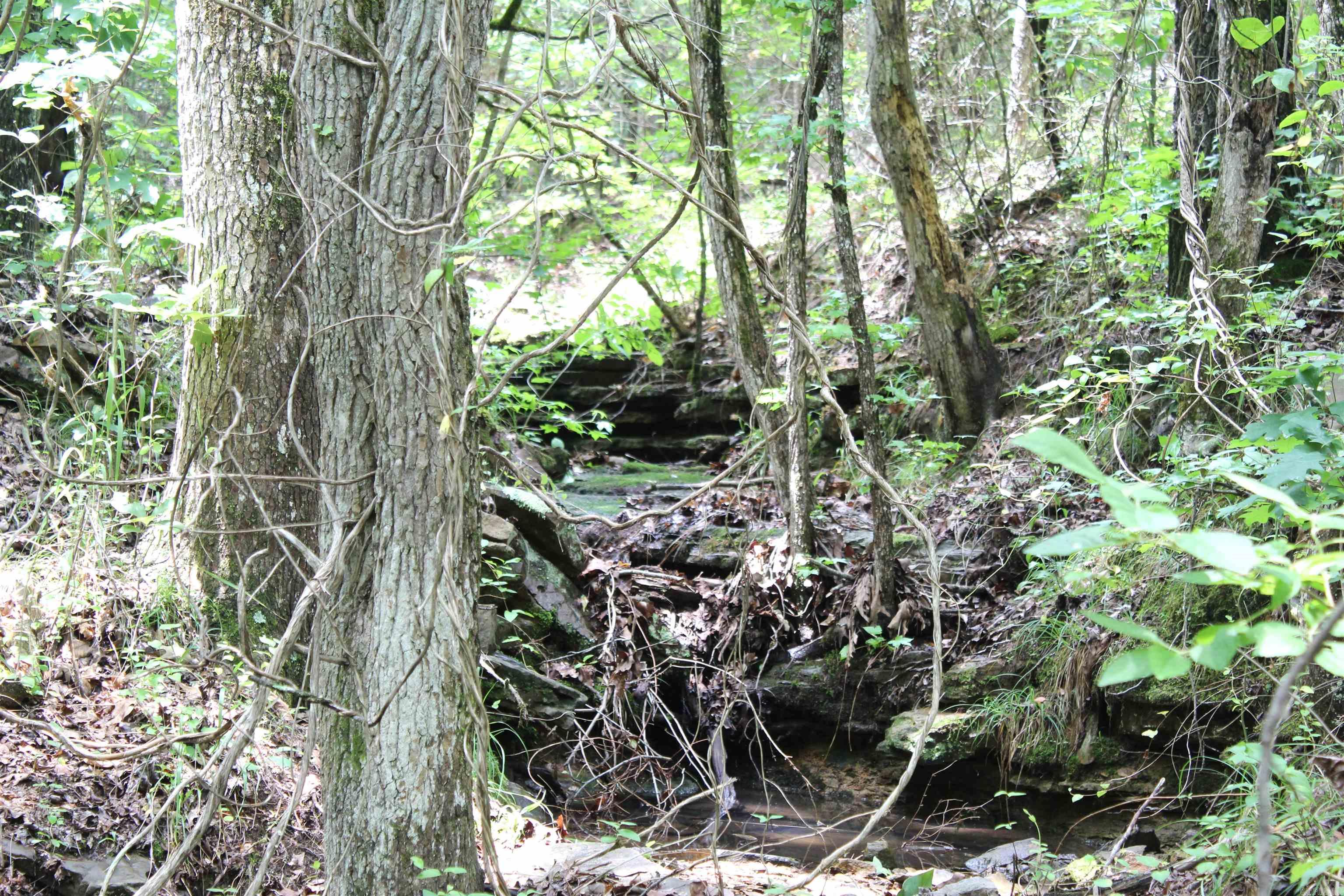 623  Batesville Mountain  Damascus, AR
