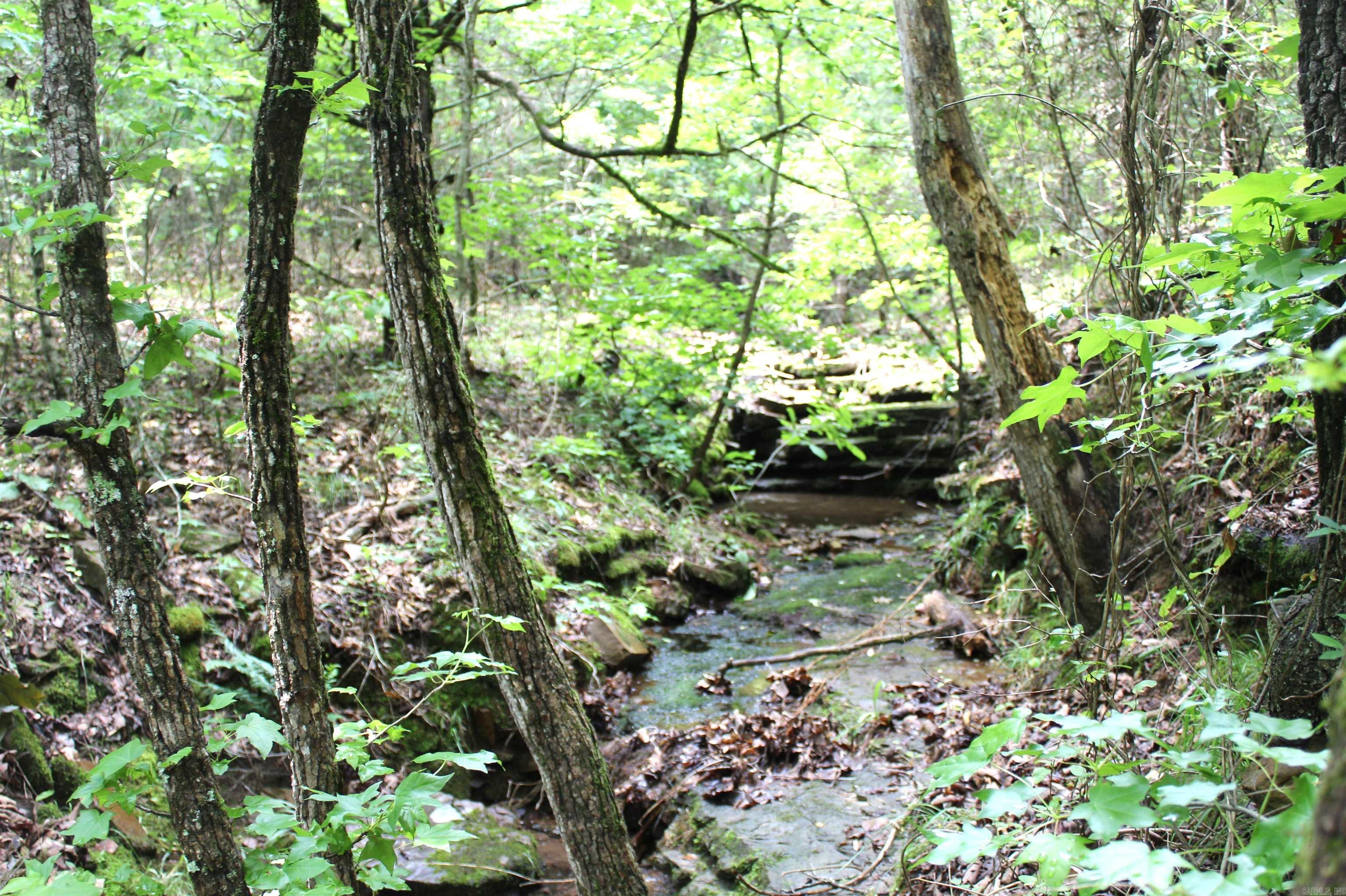 623  Batesville Mountain  Damascus, AR