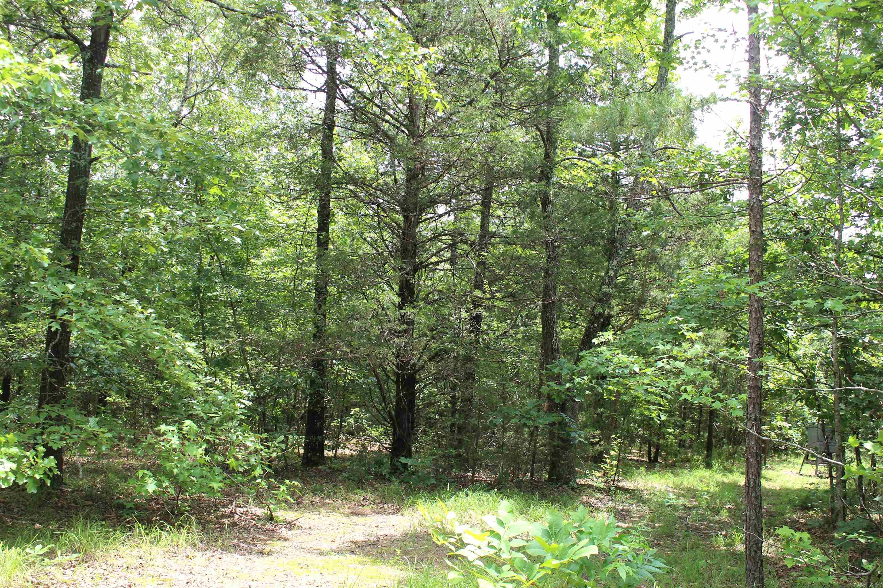 623  Batesville Mountain  Damascus, AR