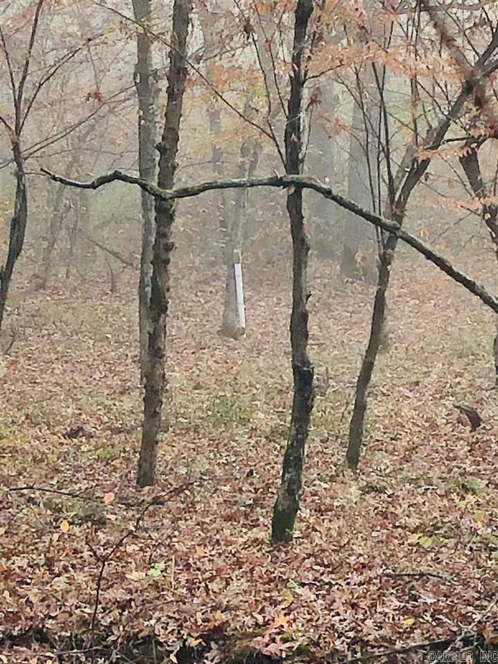 0000  HWY 36  Conway, AR