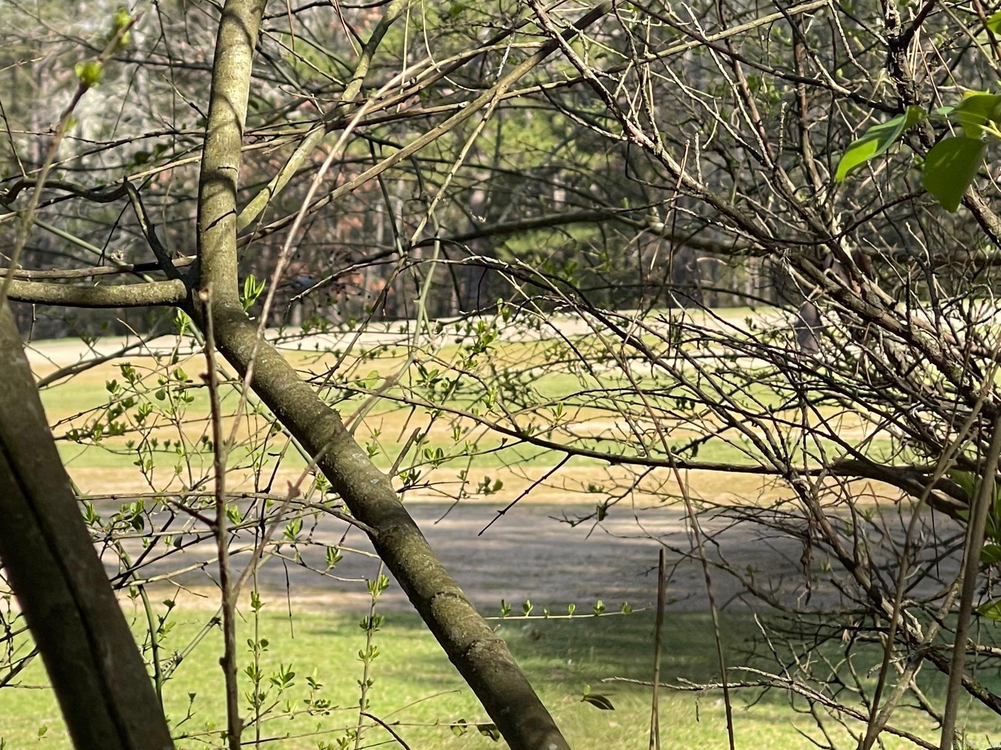 Lot 152  Mountain Ranch  Fairfield Bay, AR
