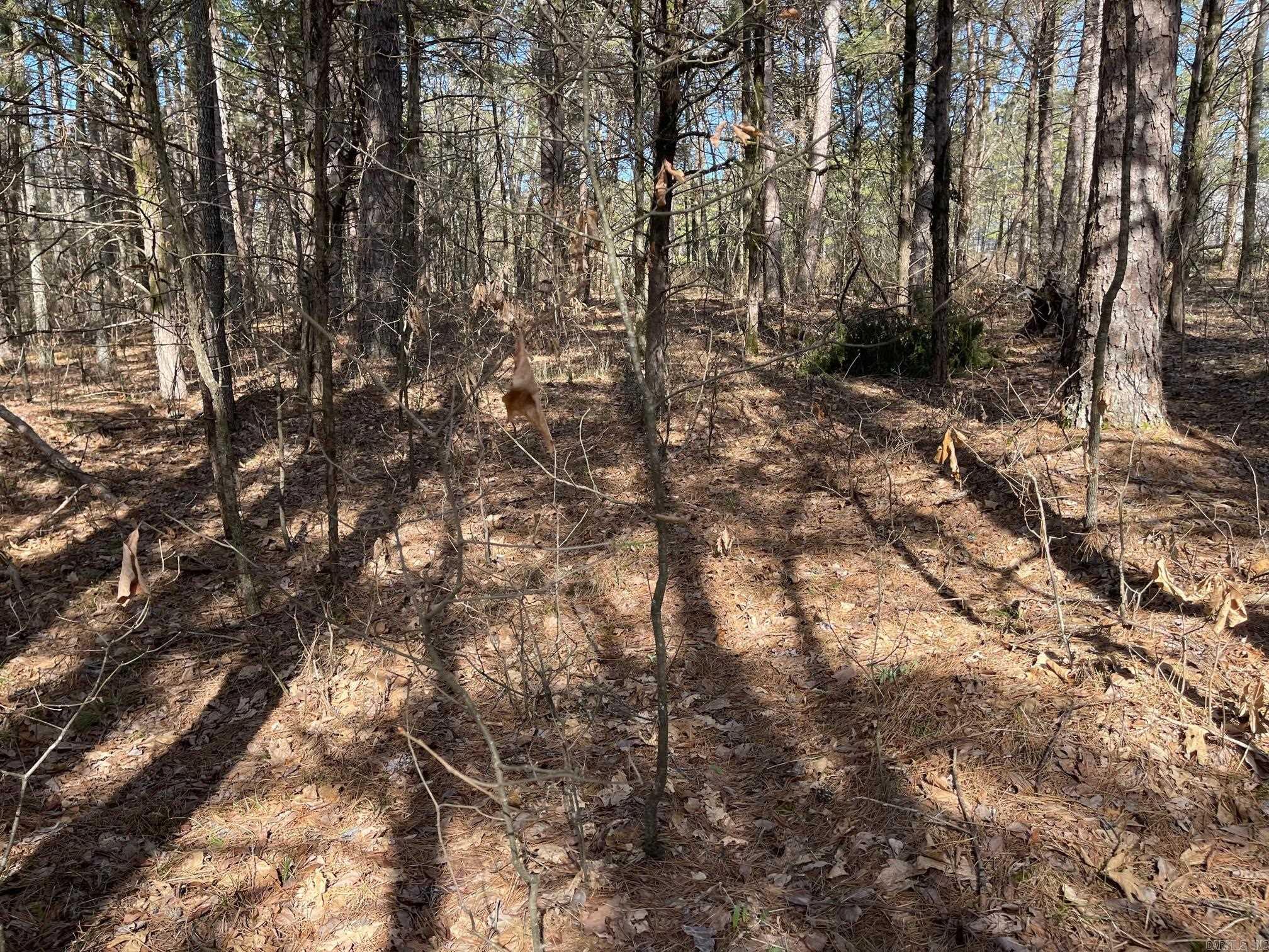 Lot 152  Mountain Ranch  Fairfield Bay, AR