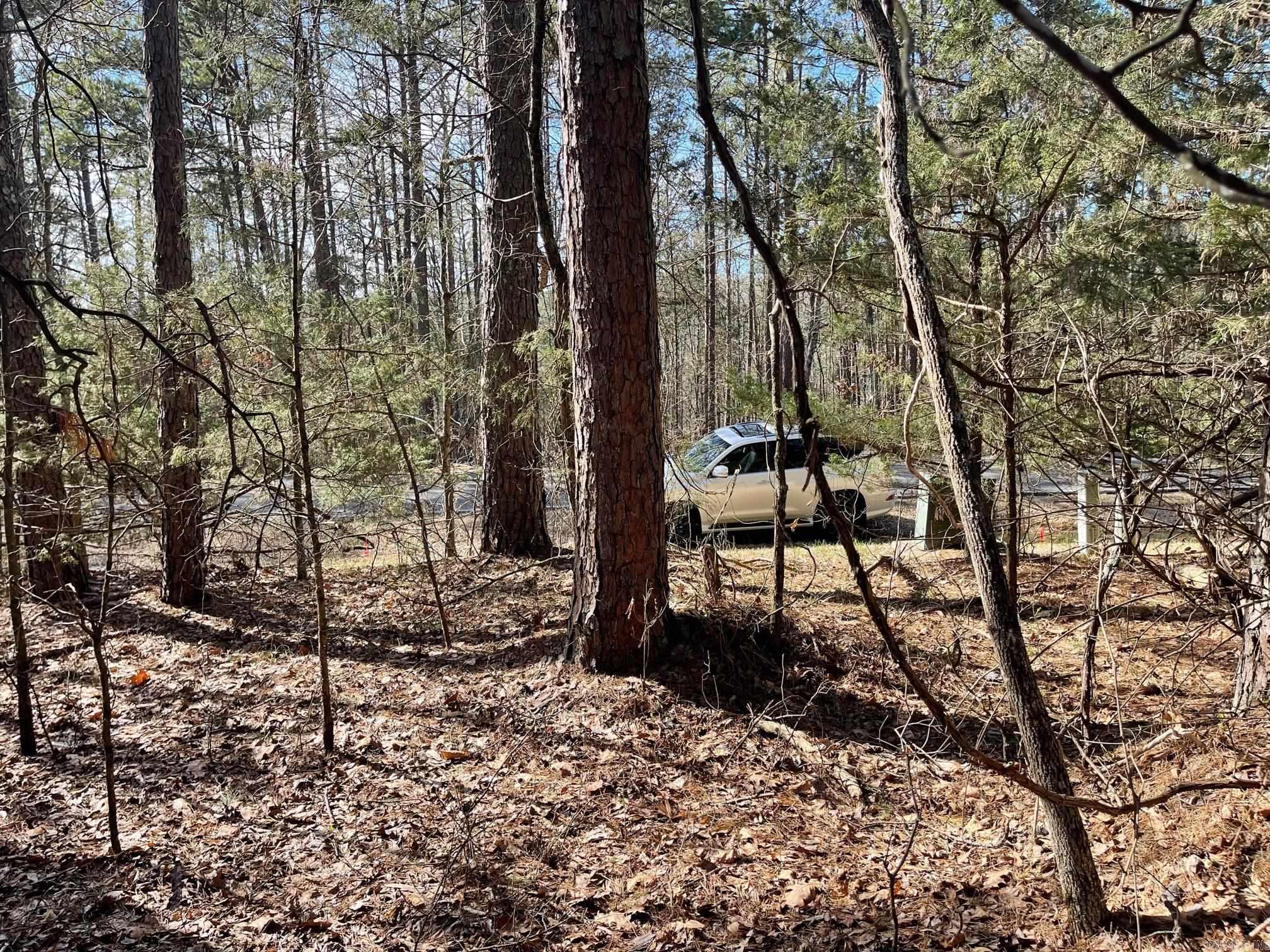 Lot 152  Mountain Ranch  Fairfield Bay, AR