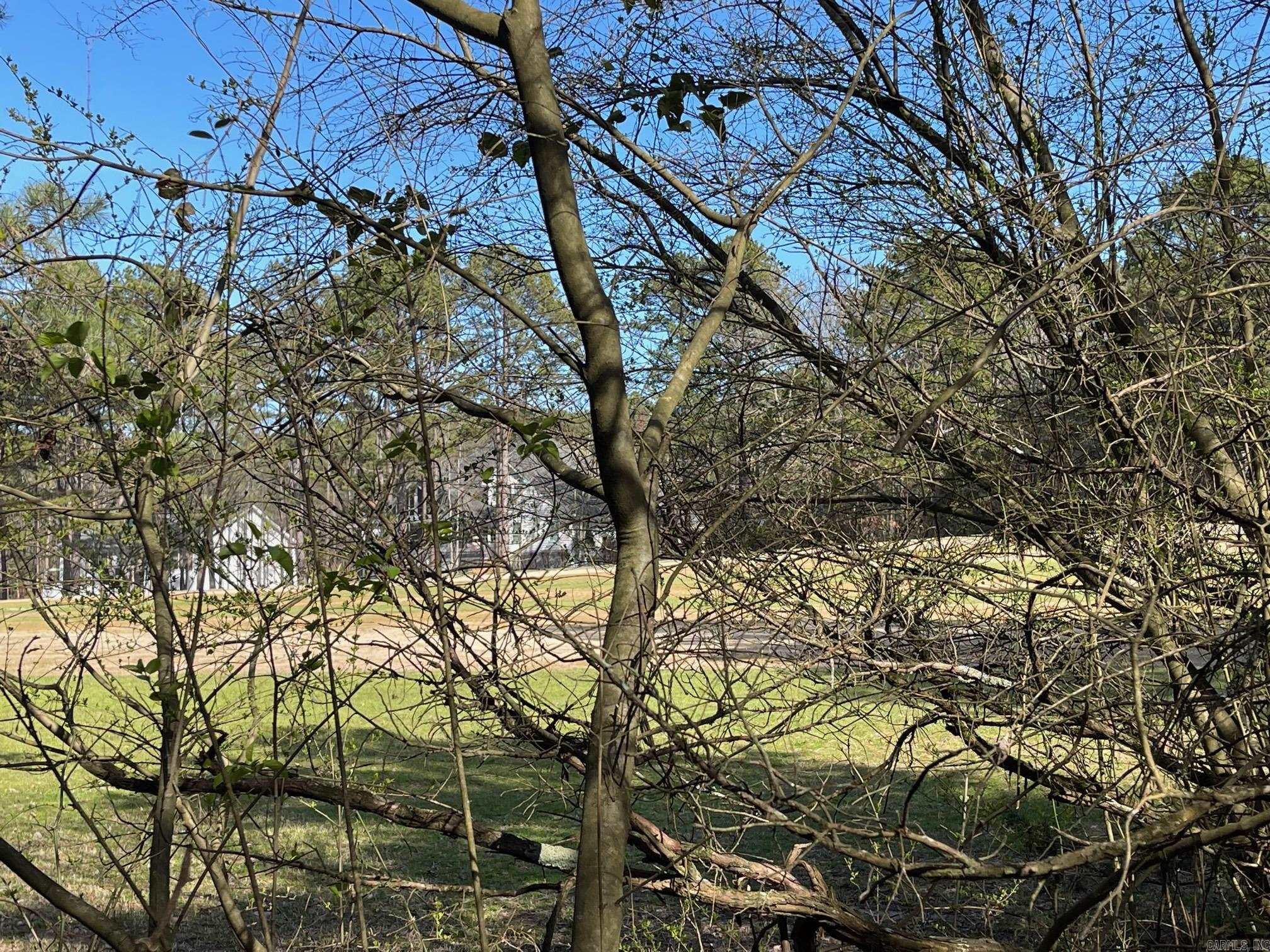 Lot 152  Mountain Ranch  Fairfield Bay, AR