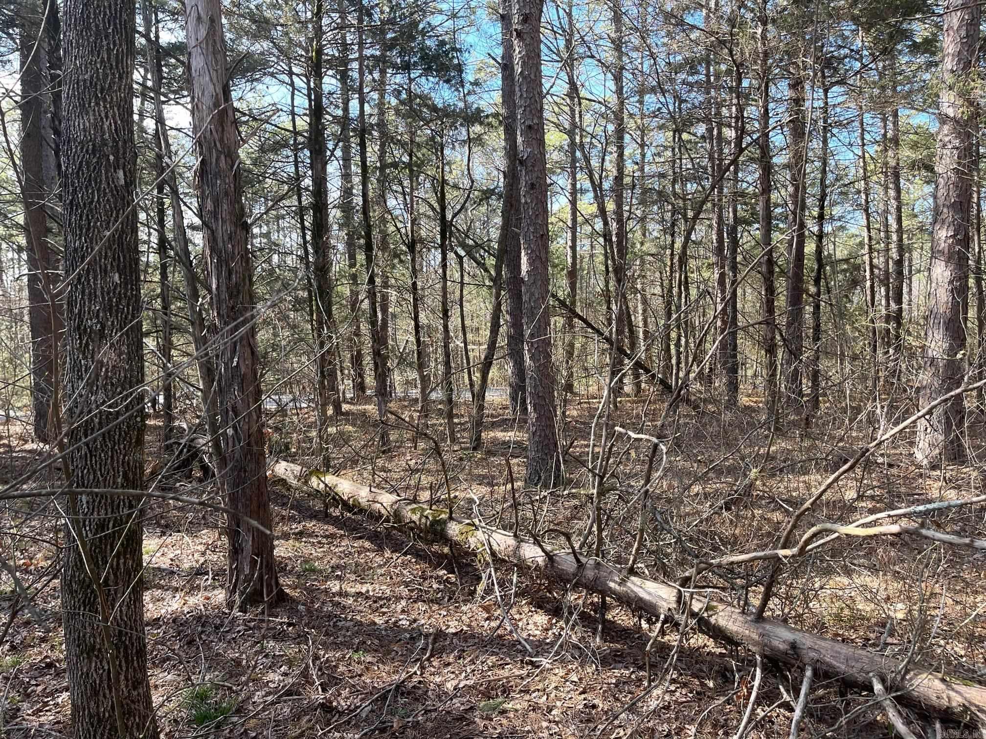 Lot 152  Mountain Ranch  Fairfield Bay, AR