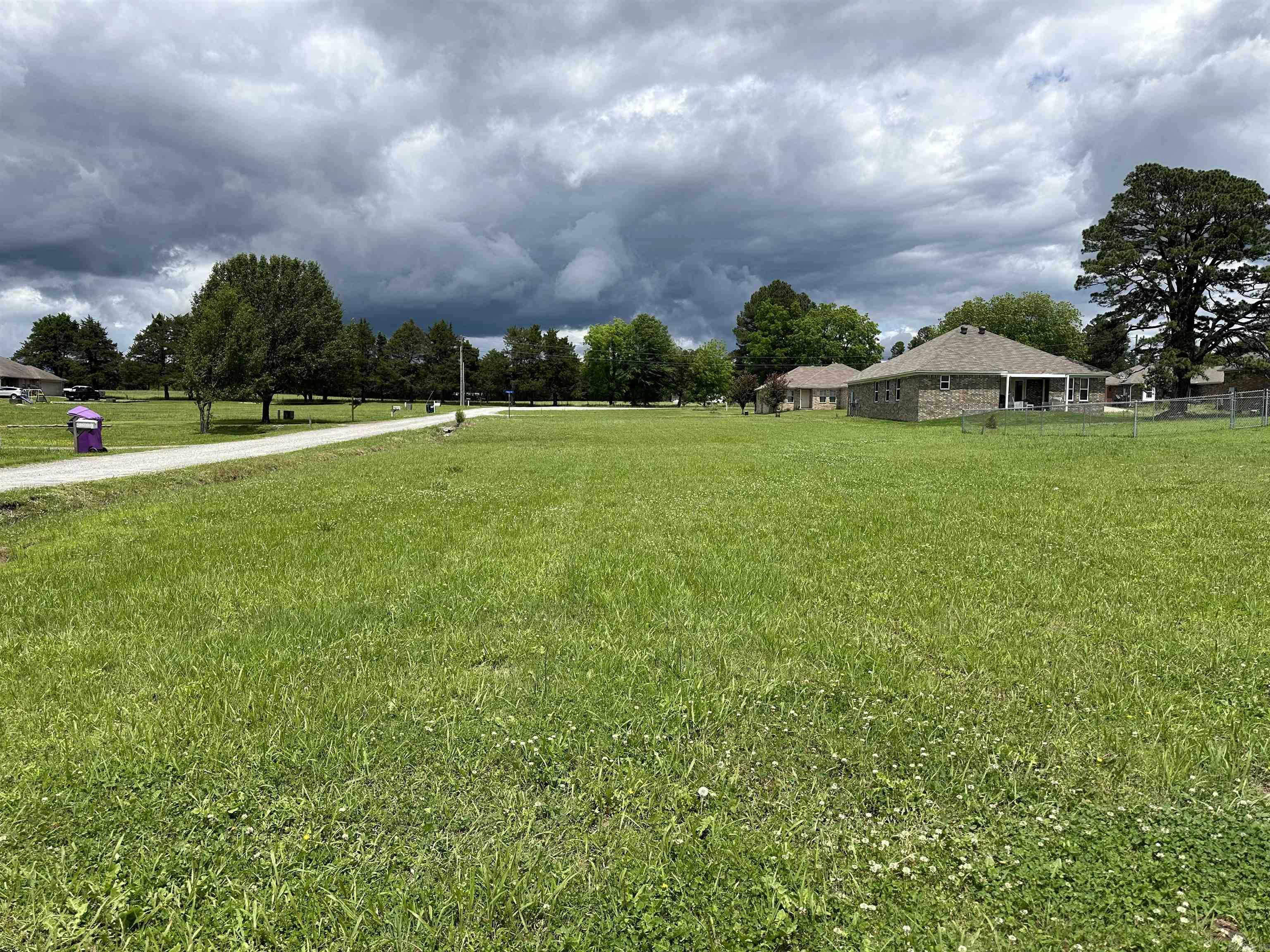 Lot 10  Rambler  Rose Bud, AR