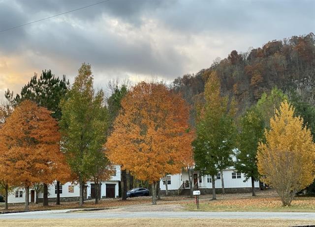 1040/1056 S Riverview  Mountain View, AR