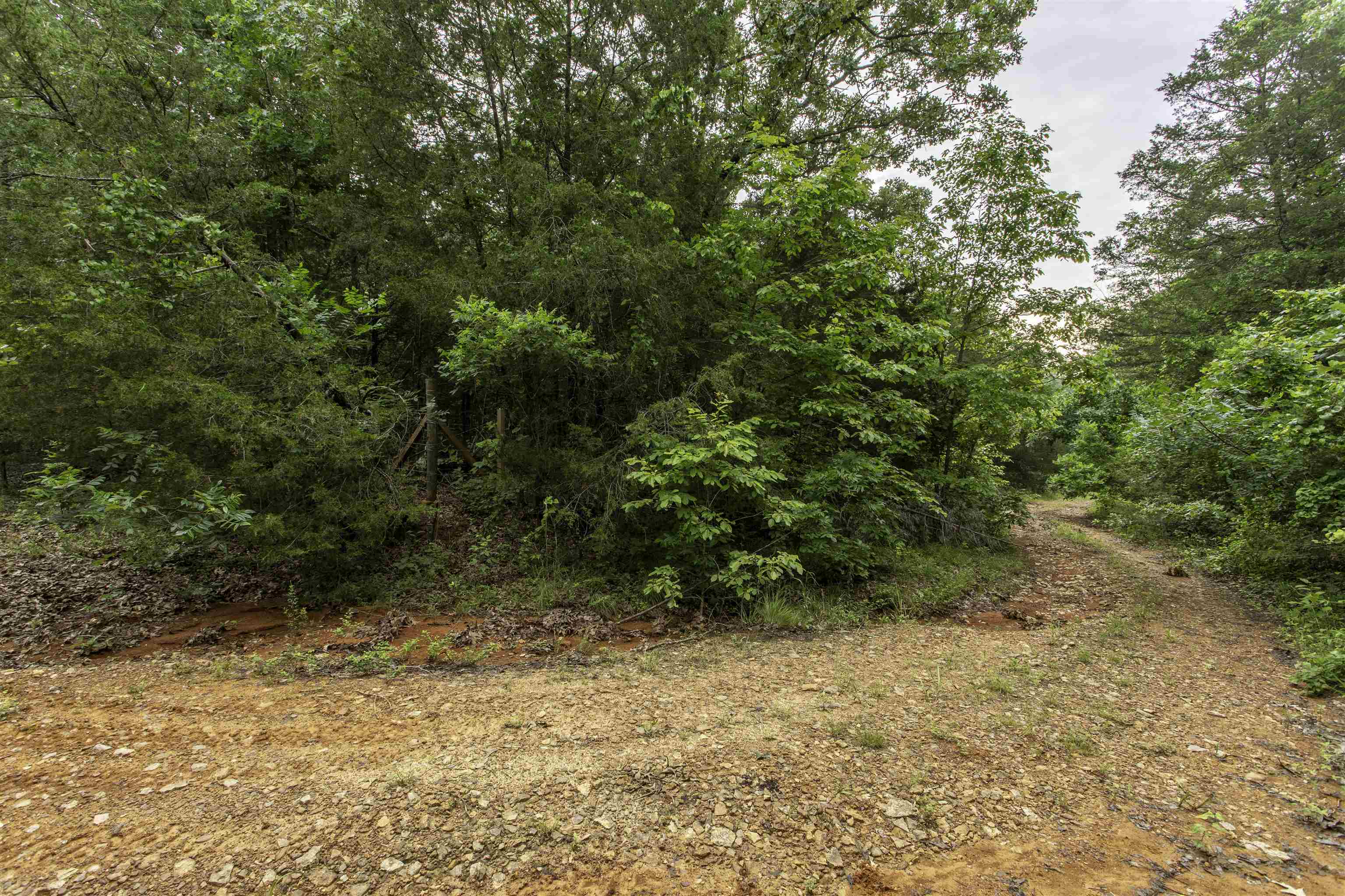 000  Fawn Ridge  Williford, AR