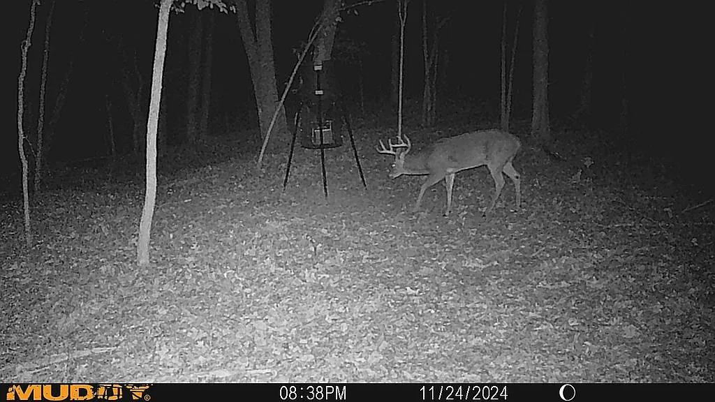 000  Fawn Ridge  Williford, AR