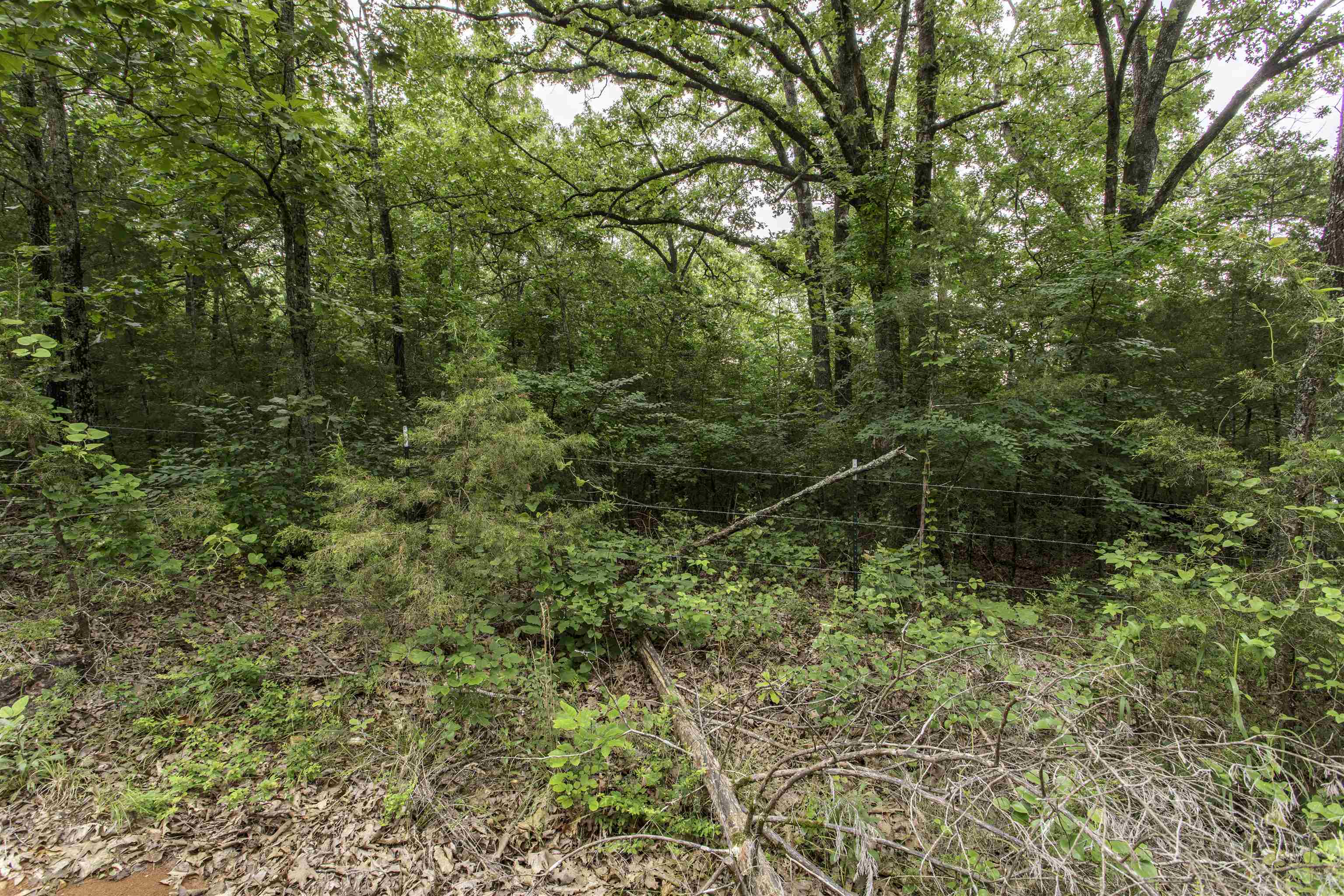 000  Fawn Ridge  Williford, AR