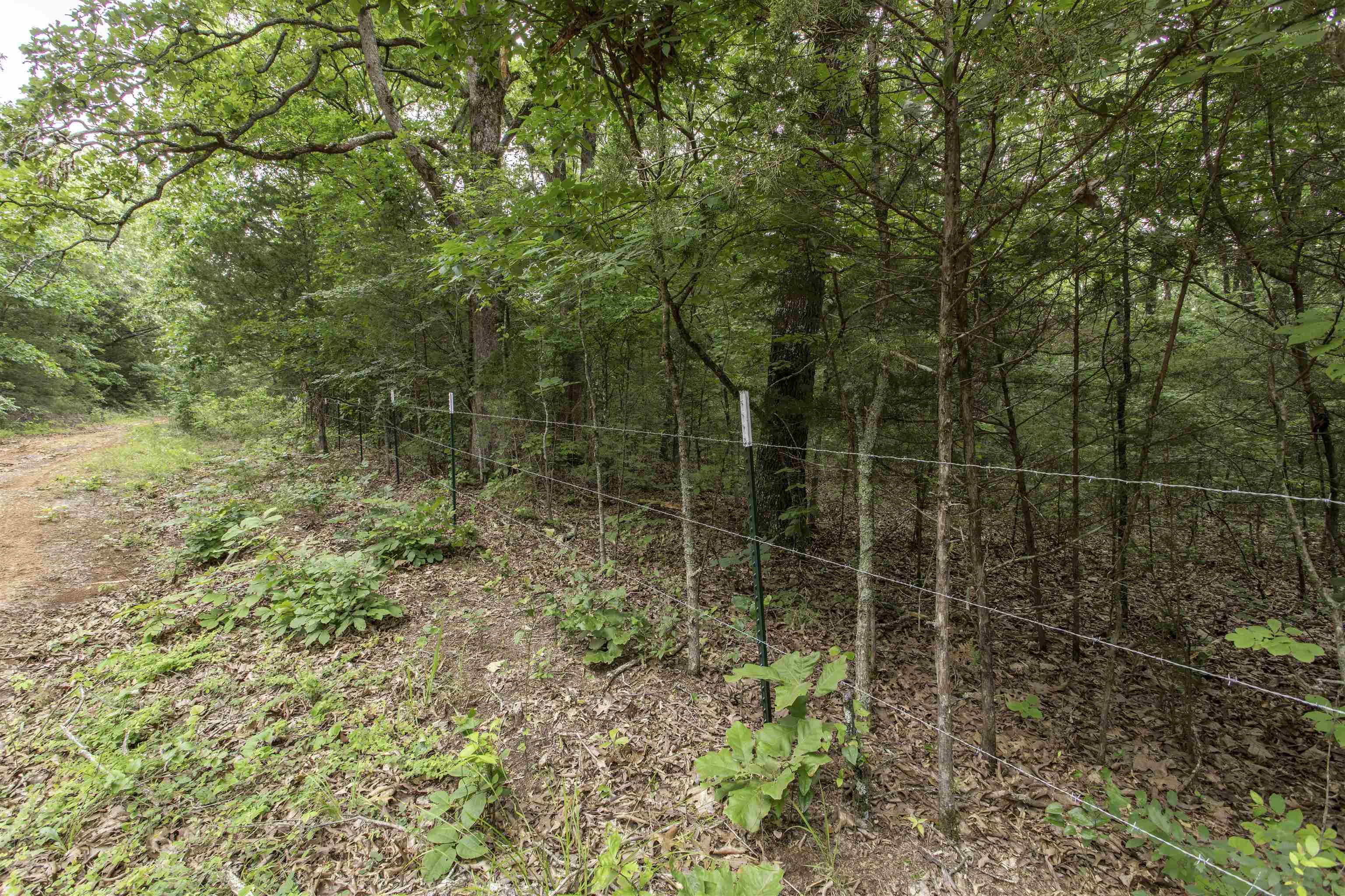 000  Fawn Ridge  Williford, AR