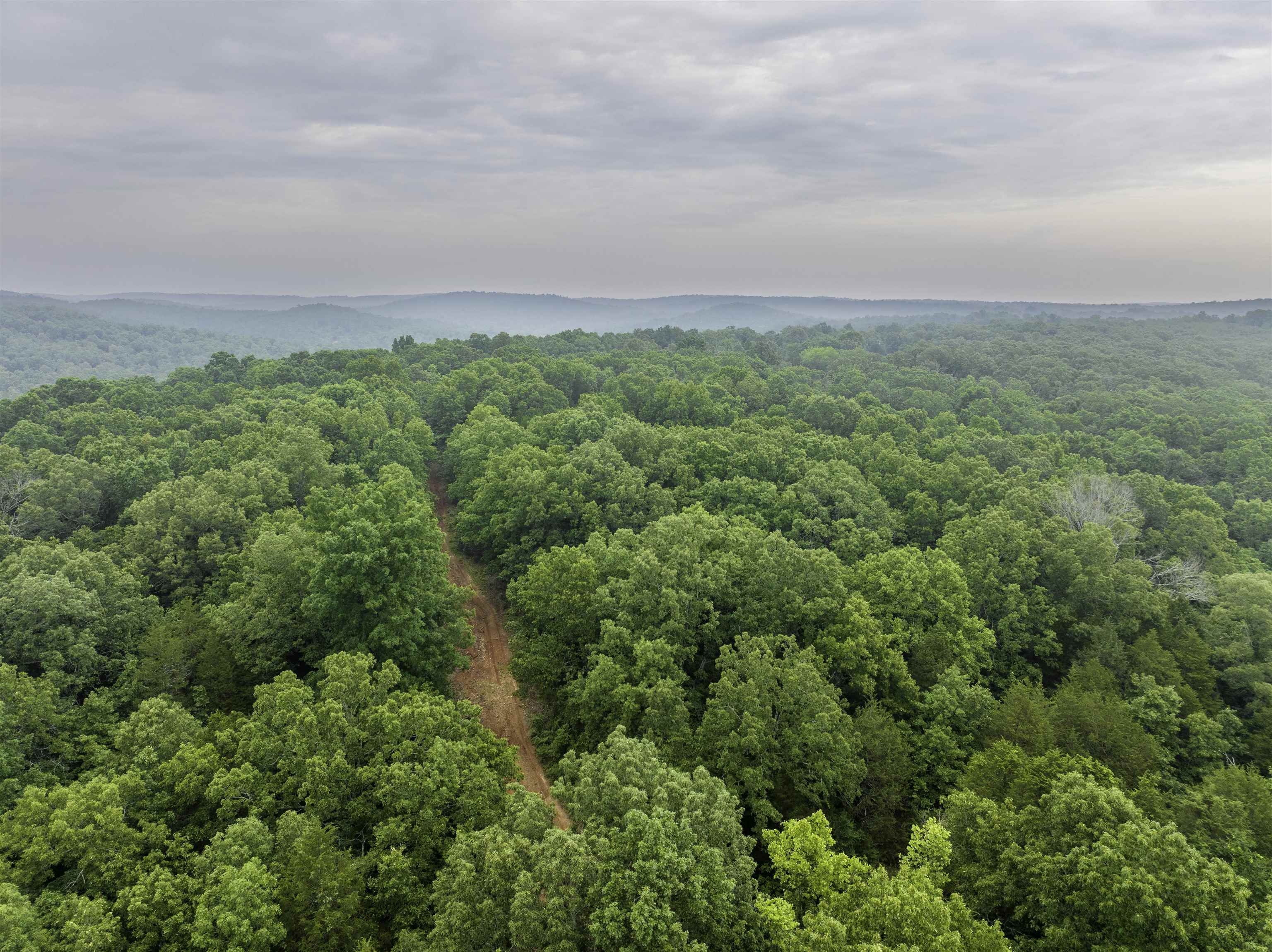 000  Fawn Ridge  Williford, AR