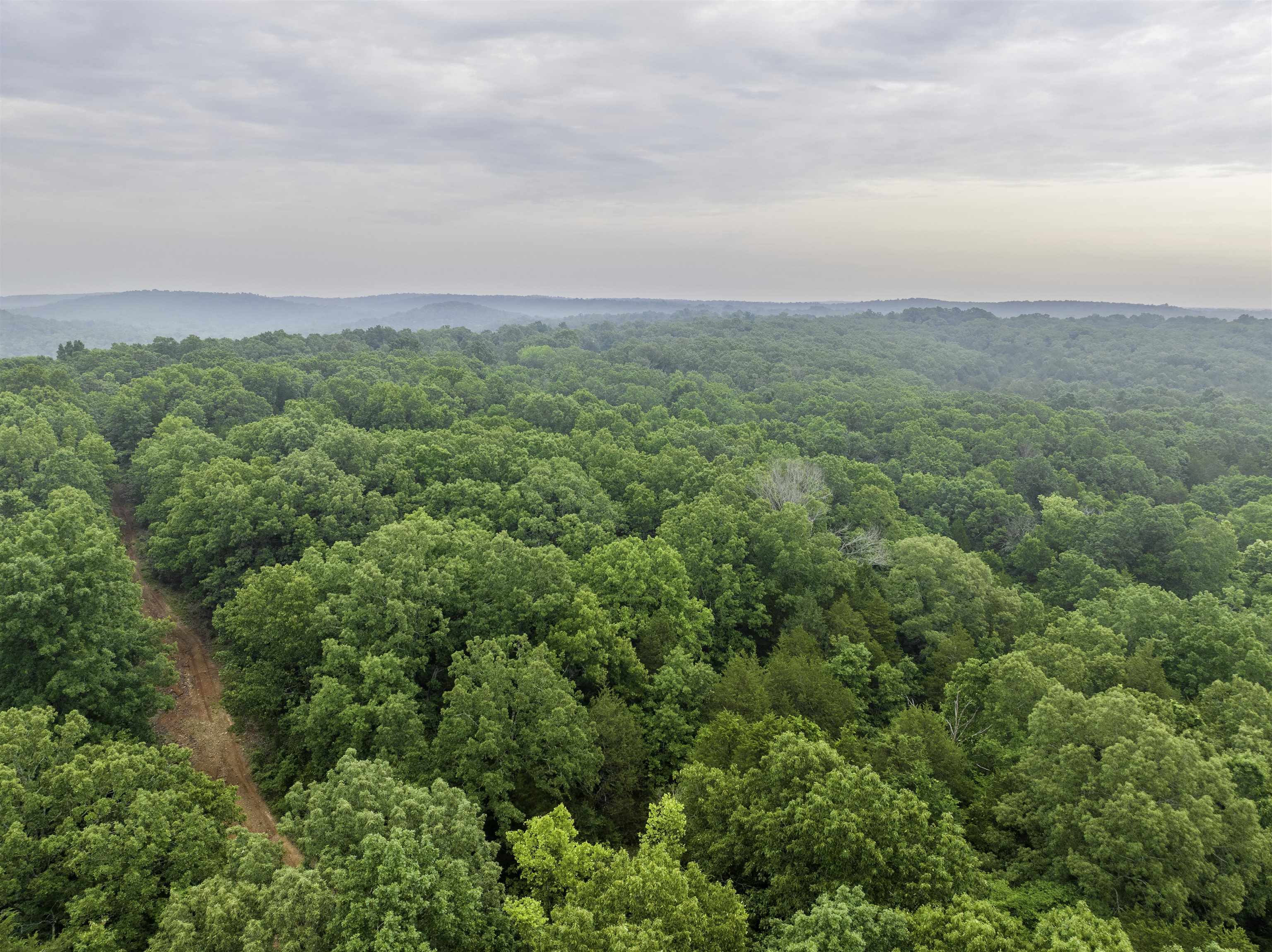 000  Fawn Ridge  Williford, AR