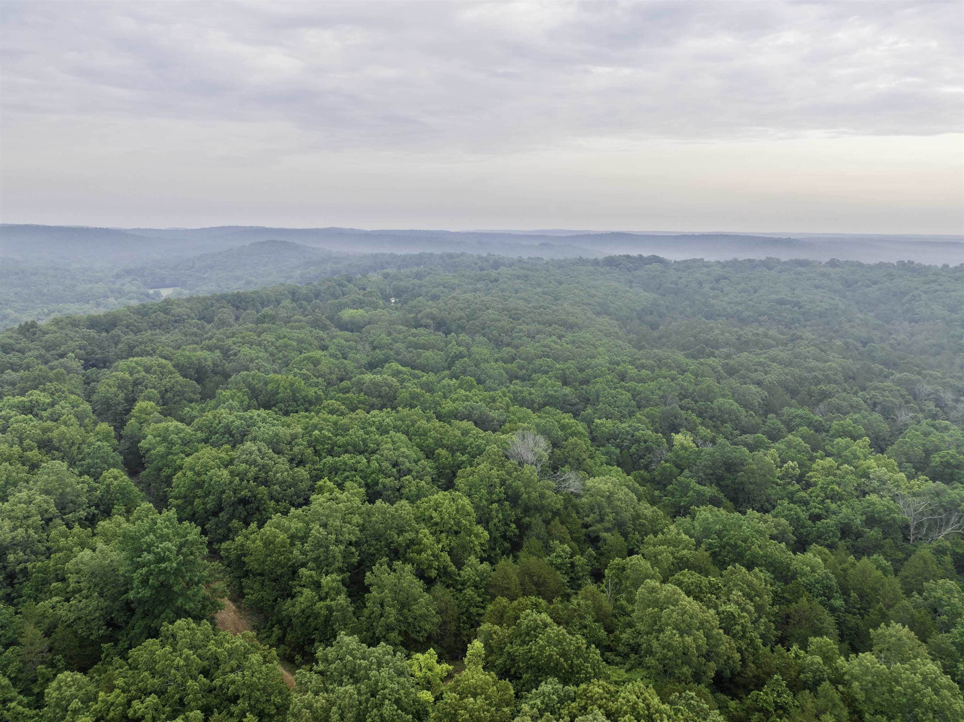 000  Fawn Ridge  Williford, AR