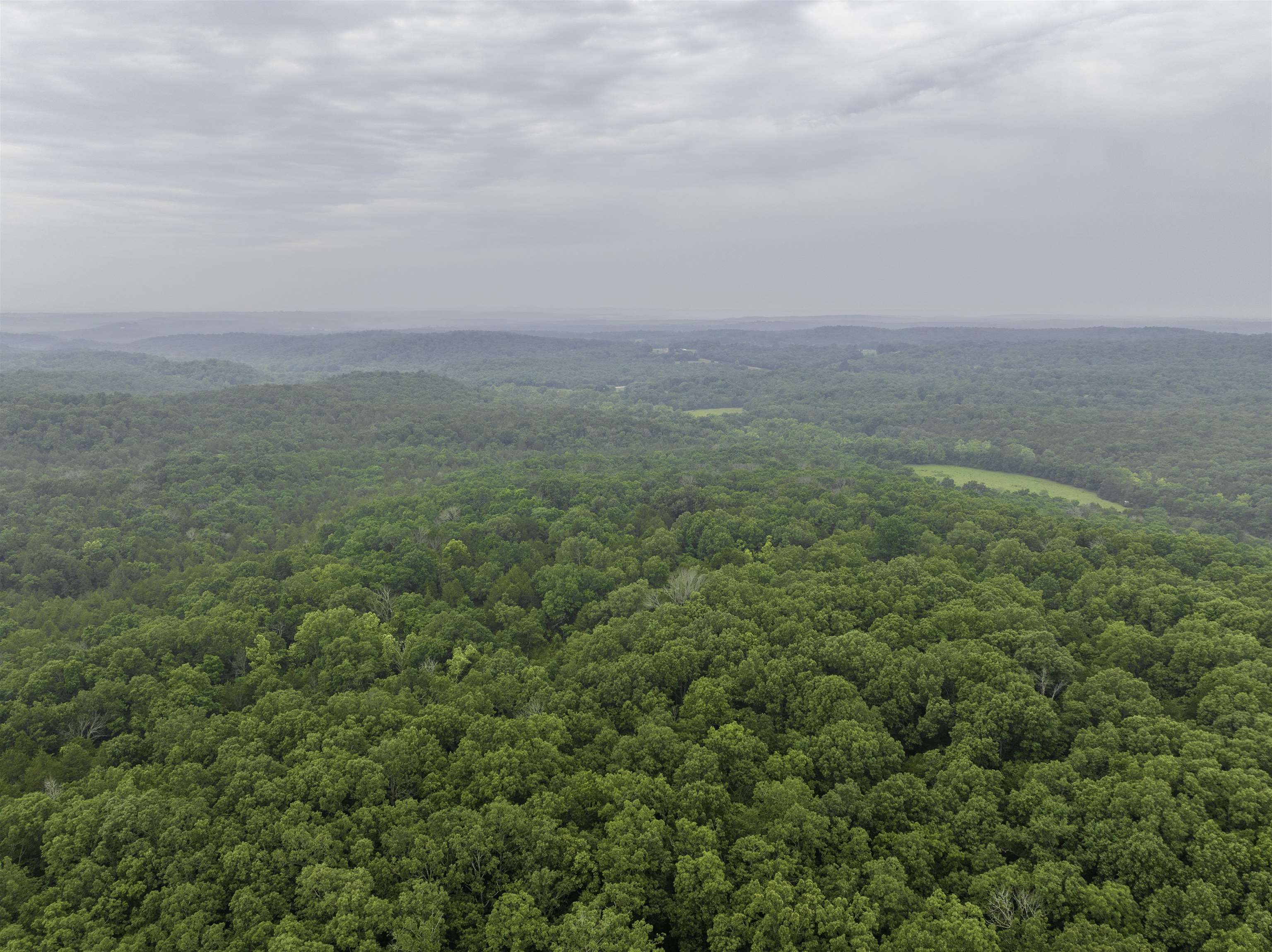 000  Fawn Ridge  Williford, AR