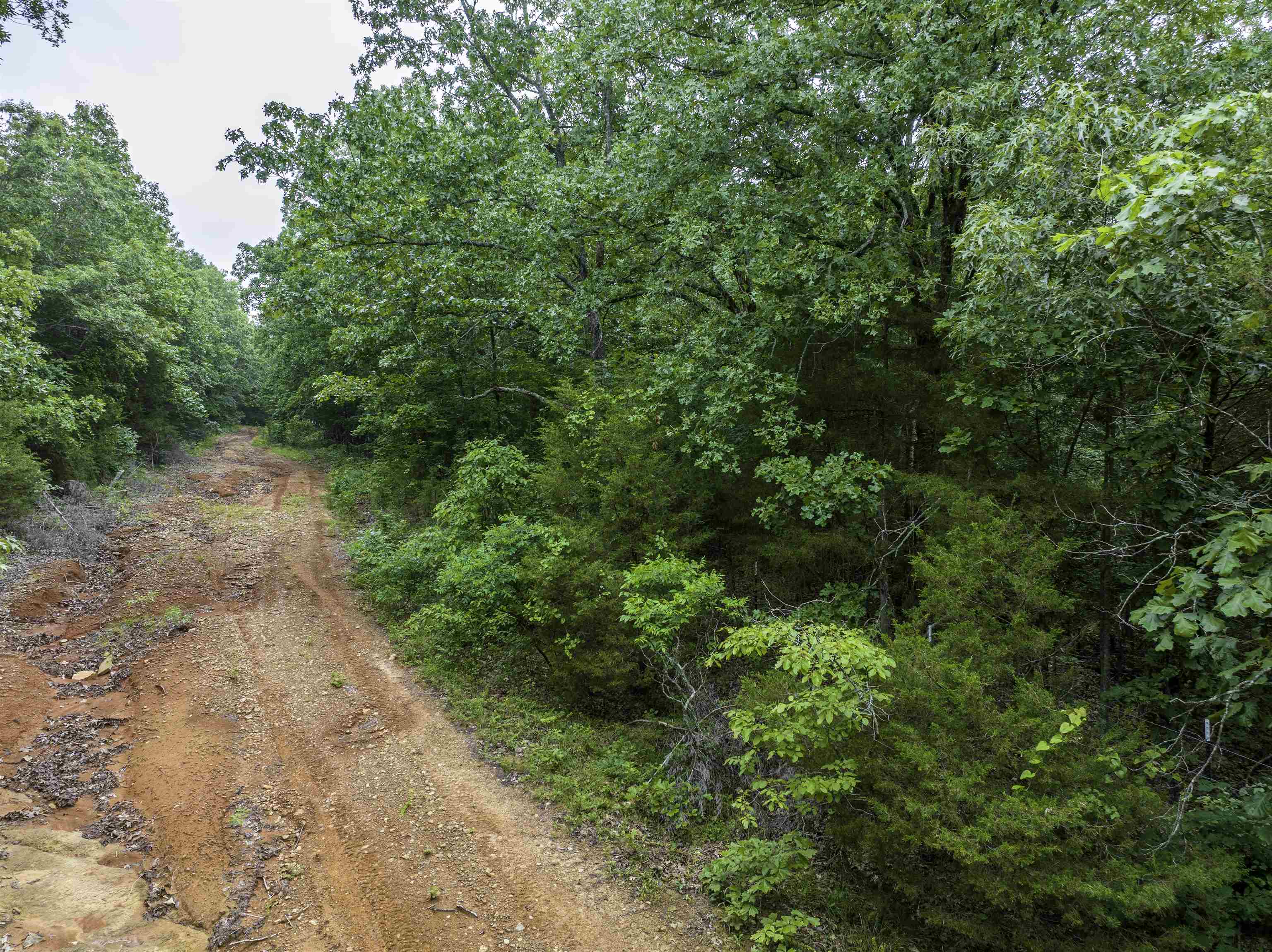000  Fawn Ridge  Williford, AR