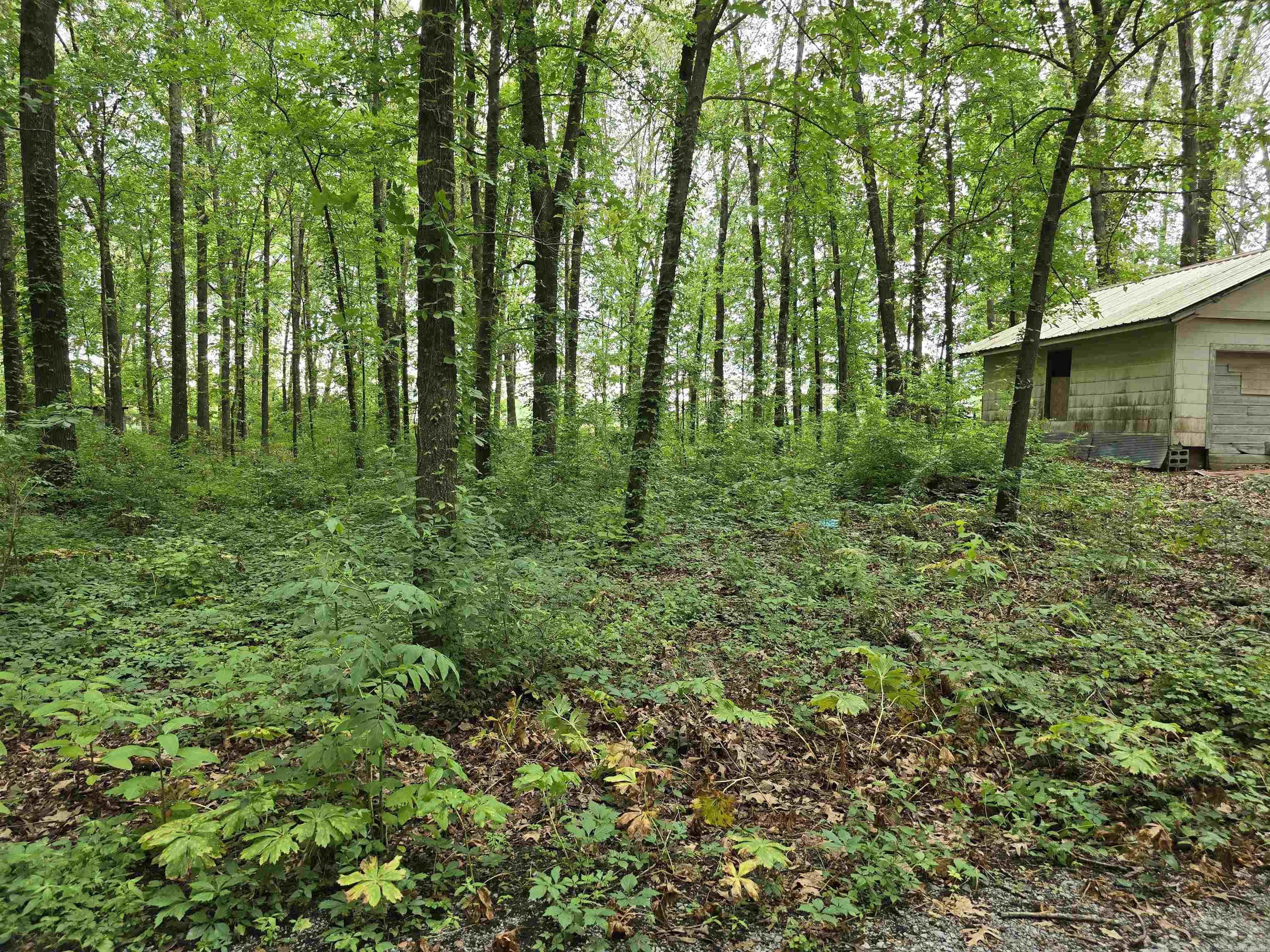 281  Gautney Ln  Lonoke, AR