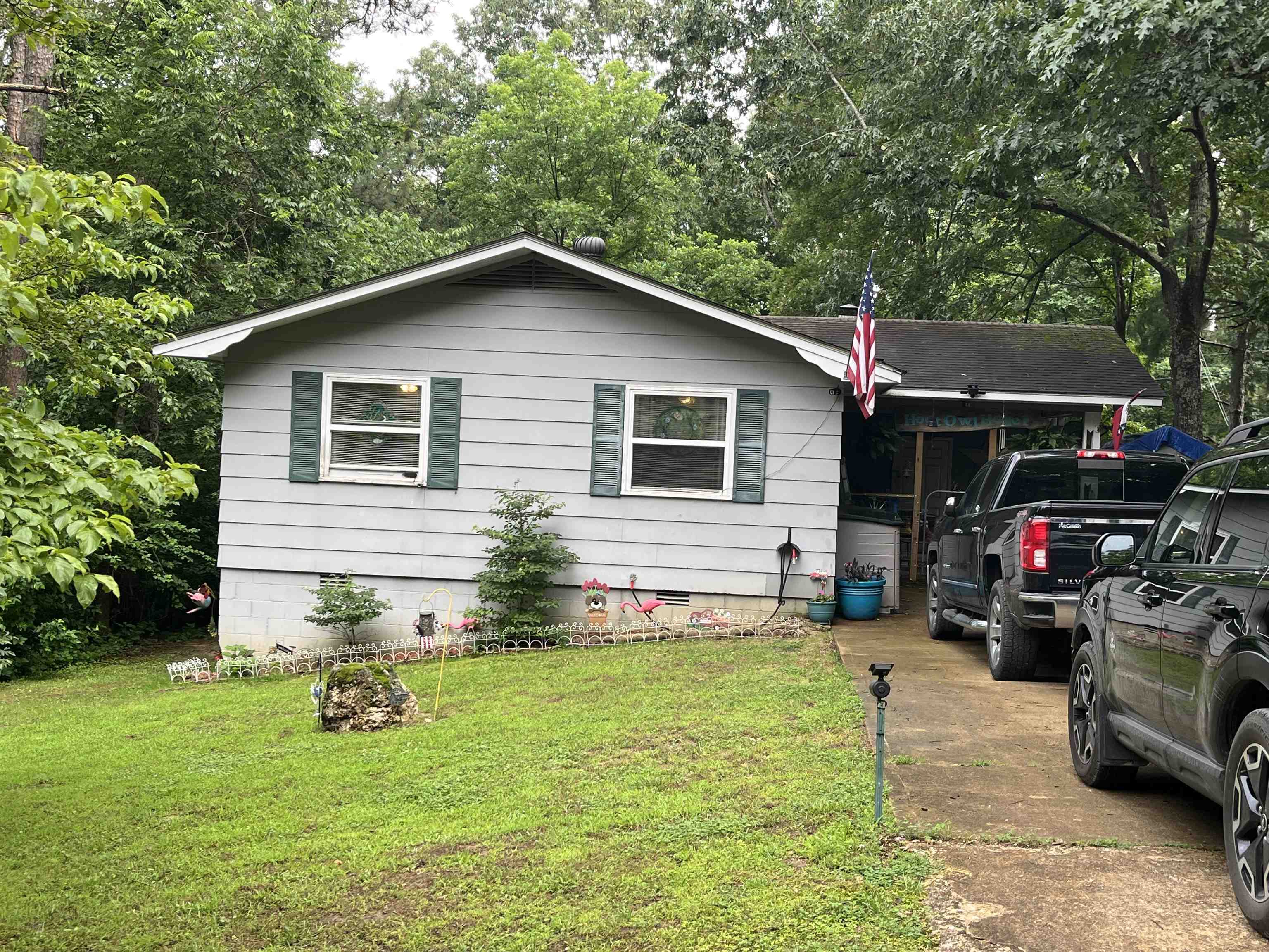 1702 E Spring Drive  Horseshoe Bend, AR