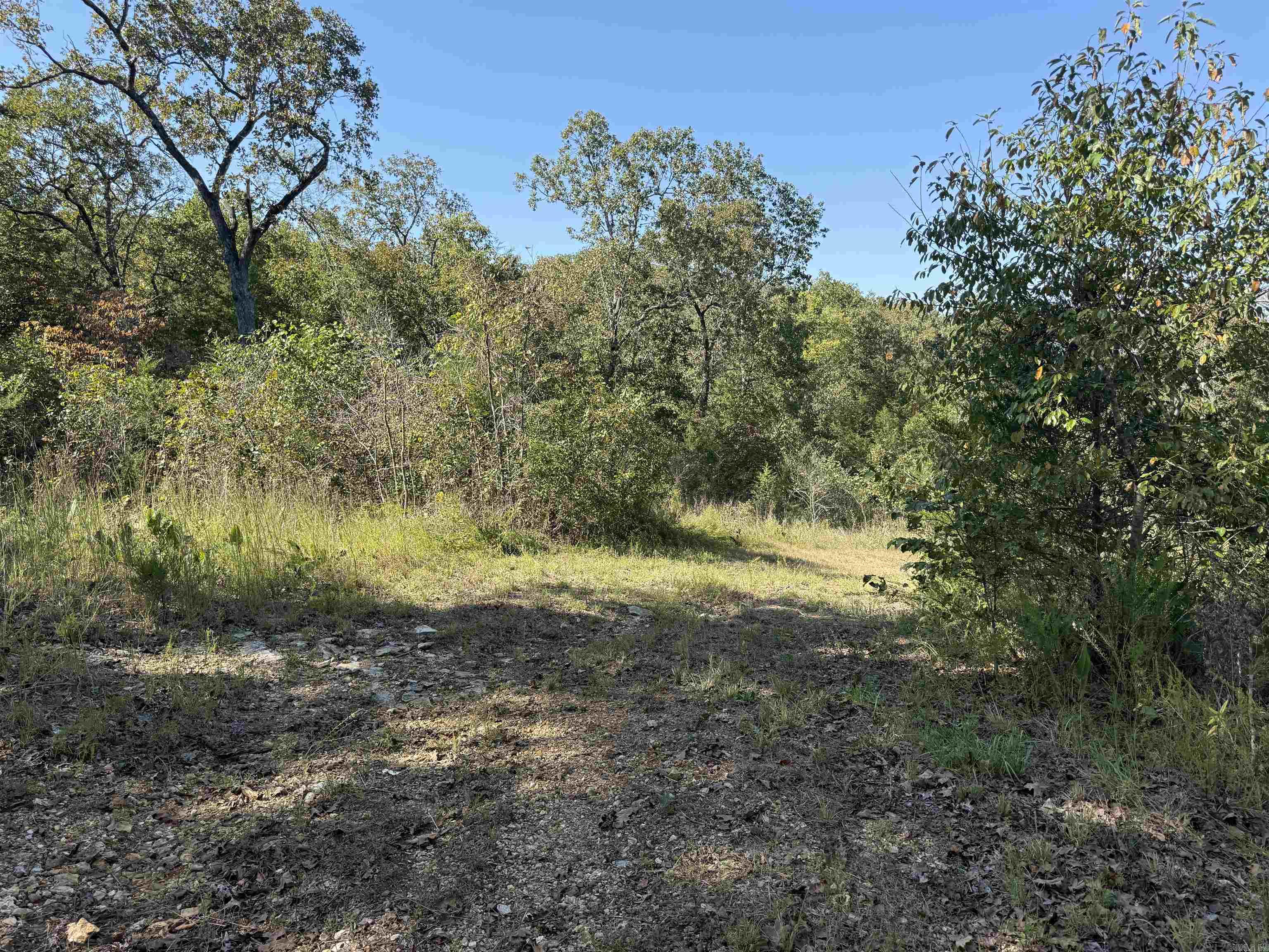 232  New Hope Road  Mountain Home, AR