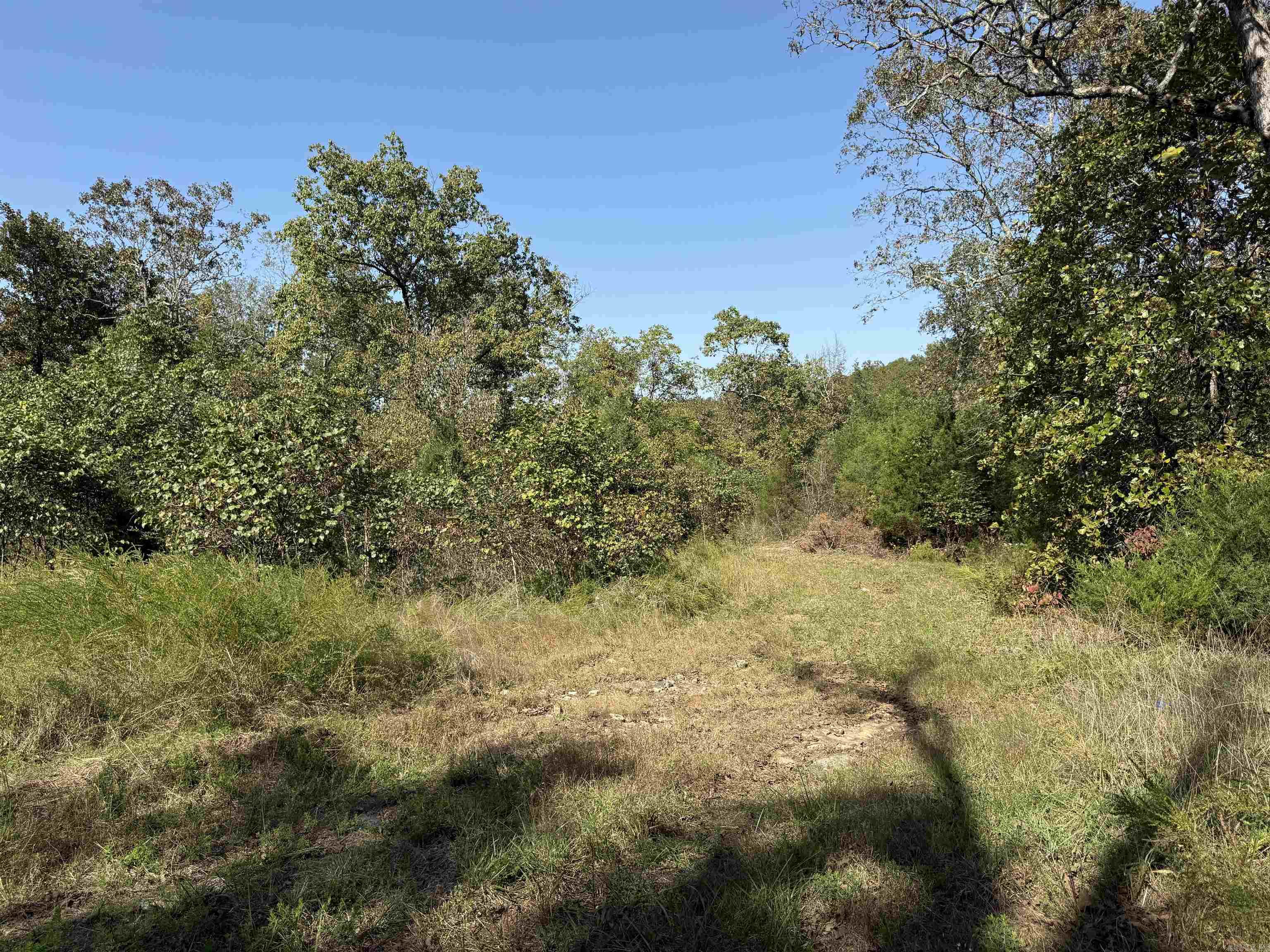 232  New Hope Road  Mountain Home, AR