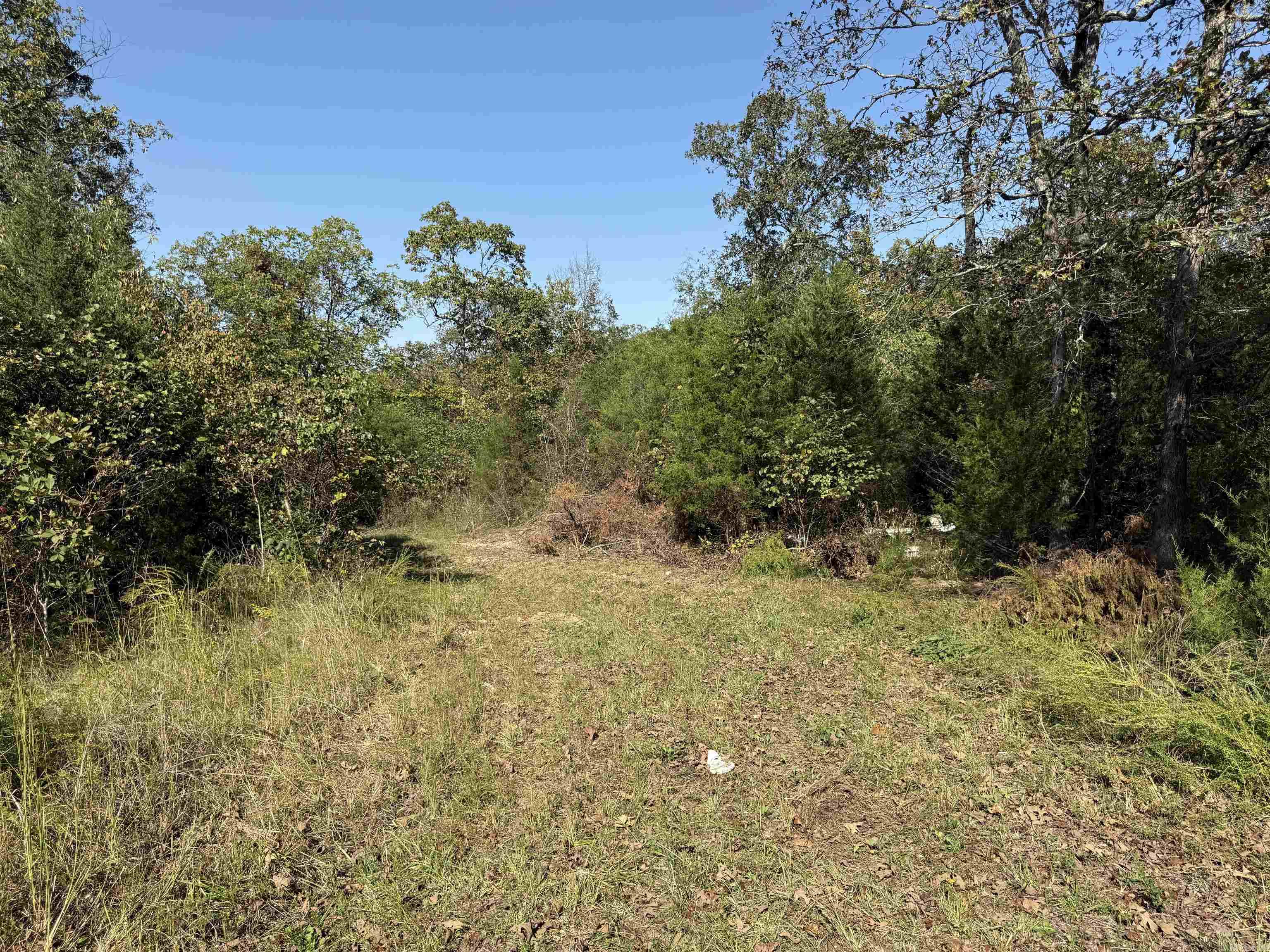 232  New Hope Road  Mountain Home, AR