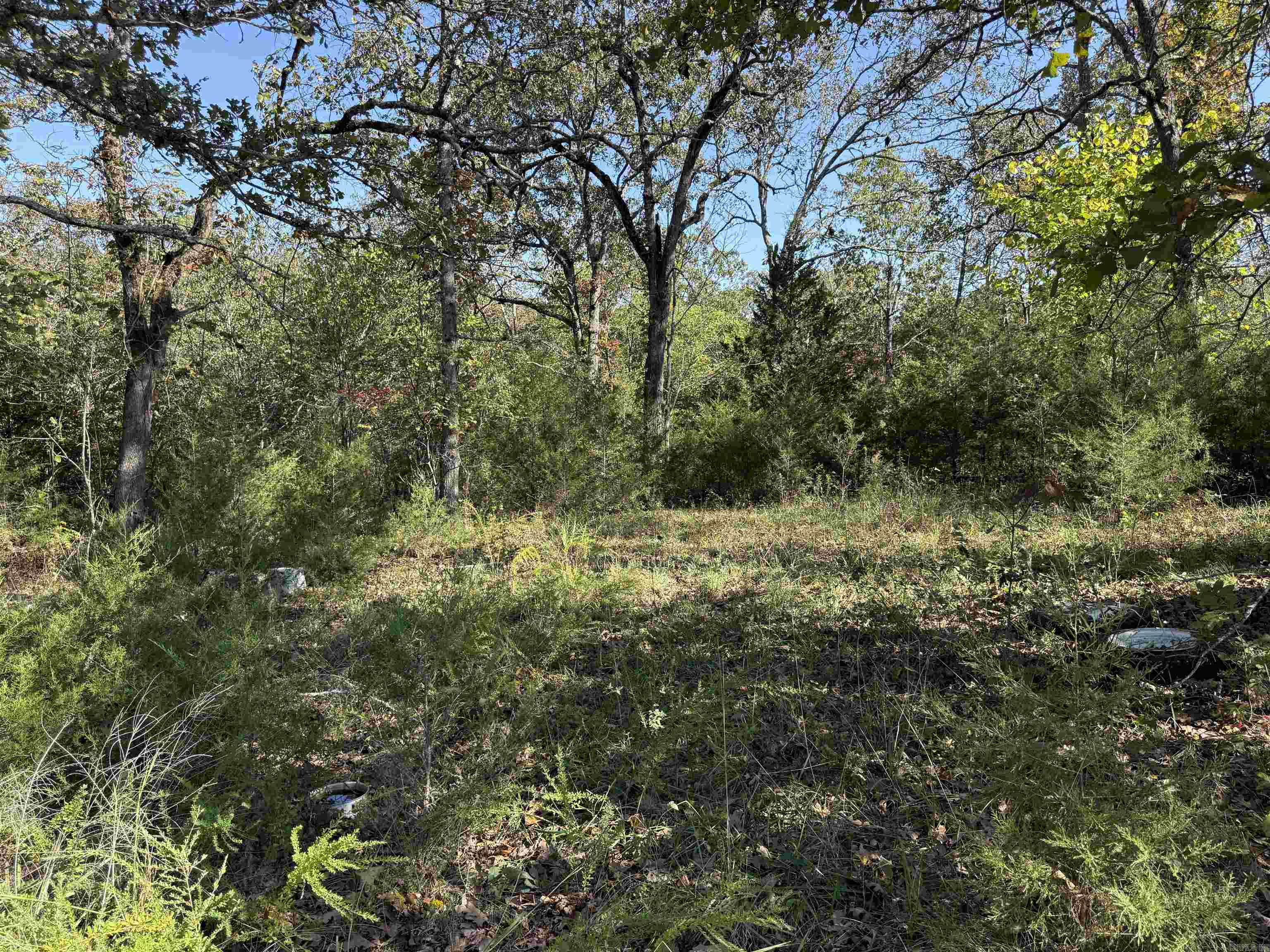 232  New Hope Road  Mountain Home, AR