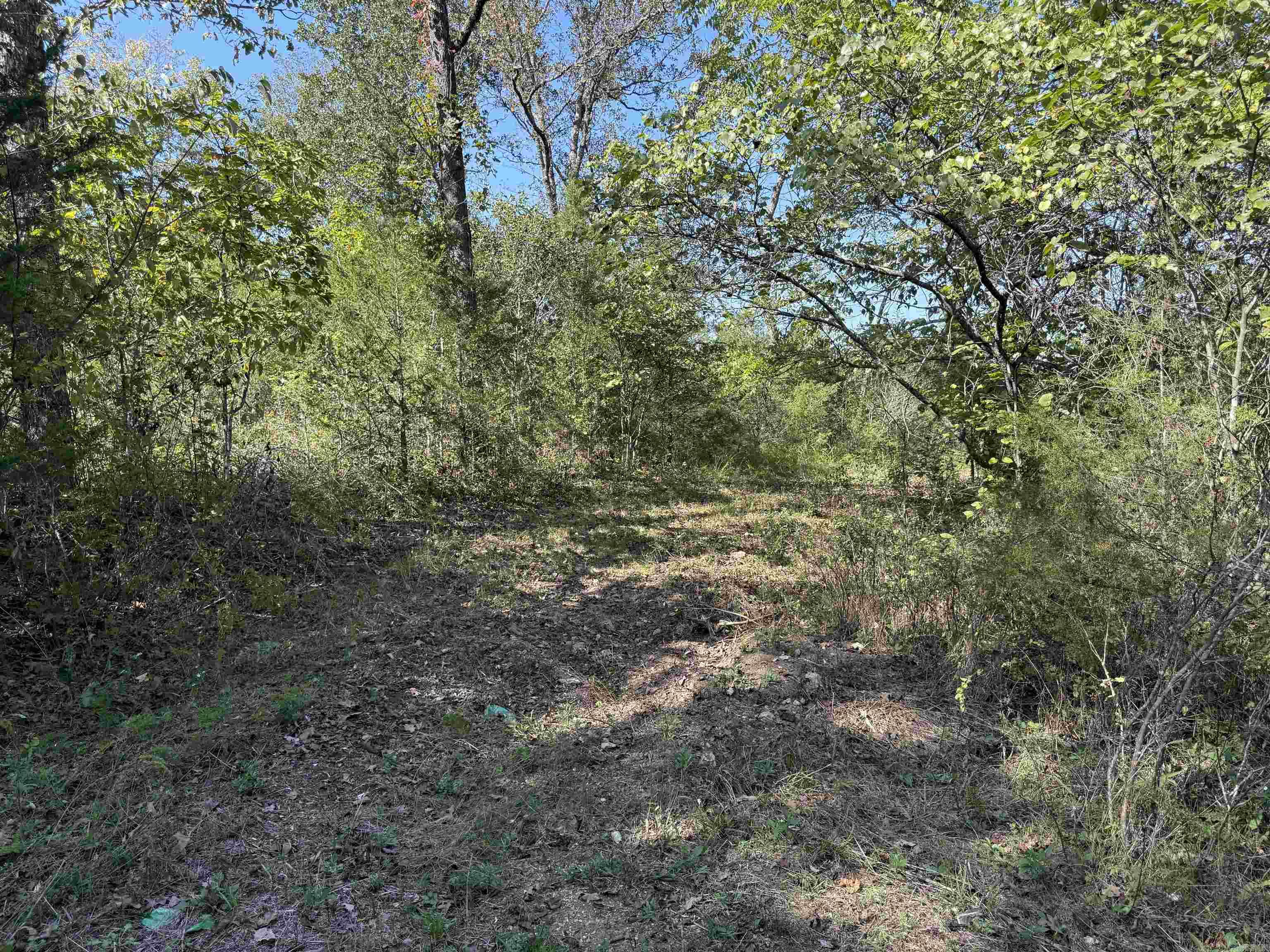 232  New Hope Road  Mountain Home, AR