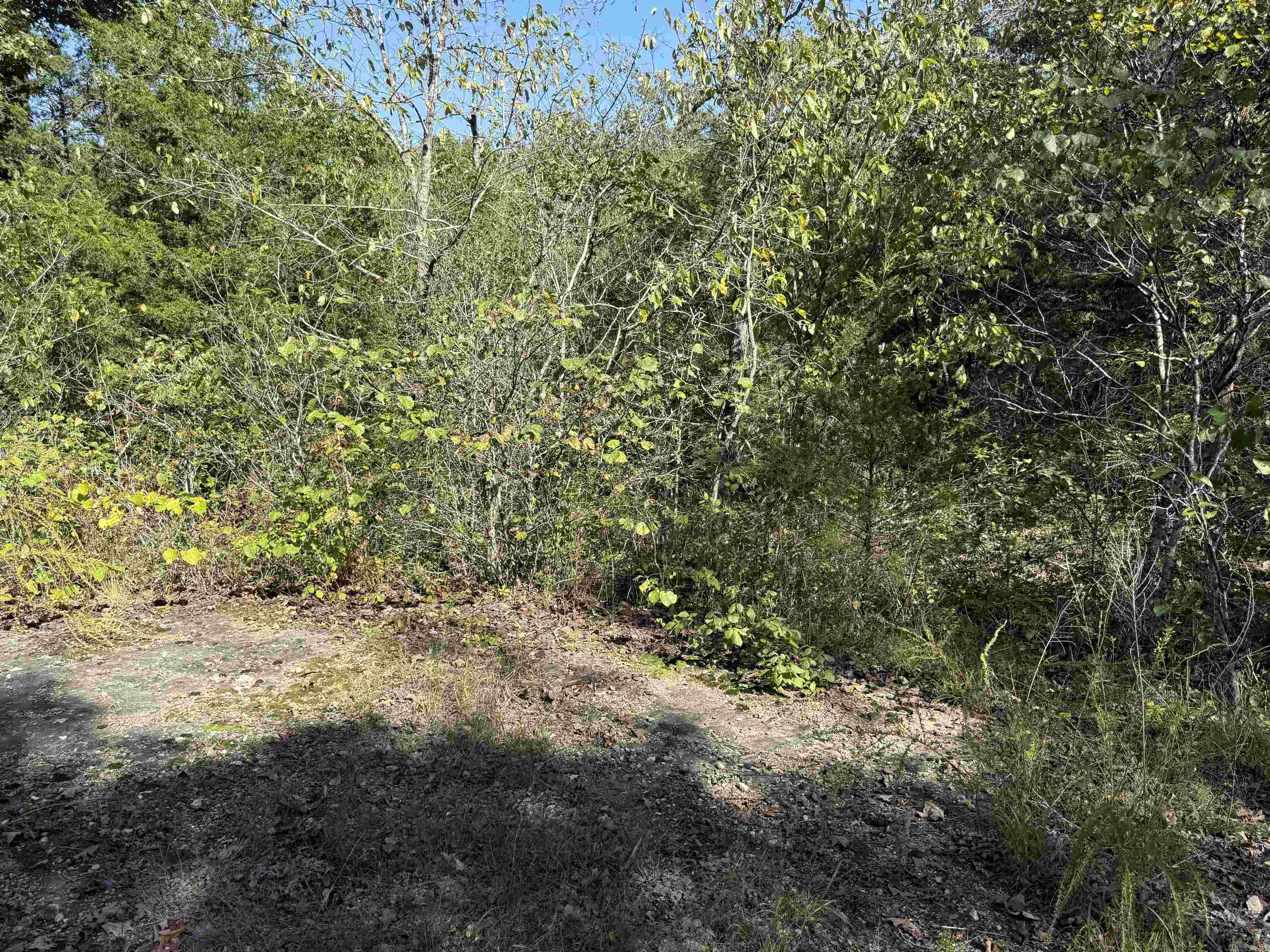 232  New Hope Road  Mountain Home, AR