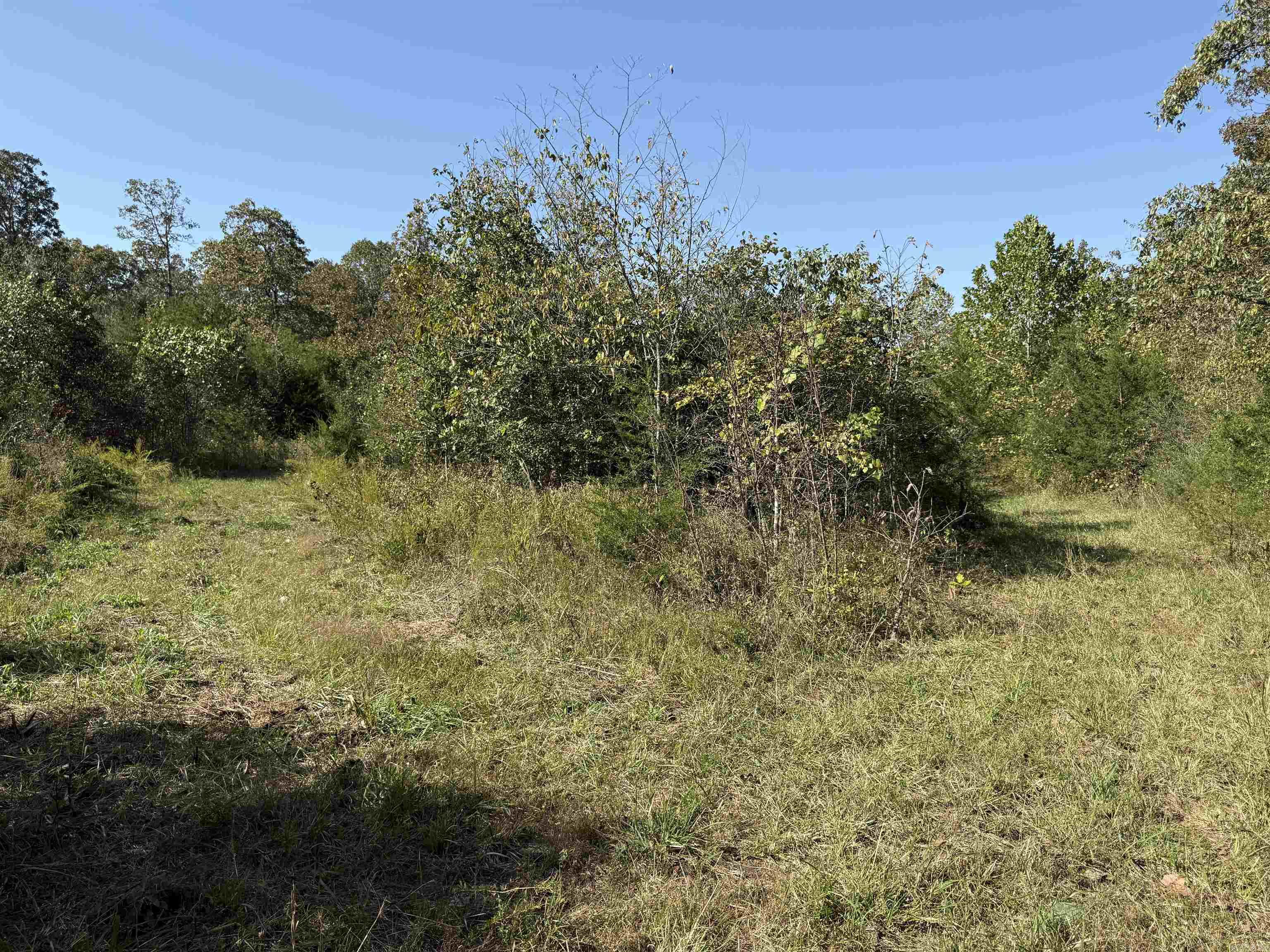 232  New Hope Road  Mountain Home, AR