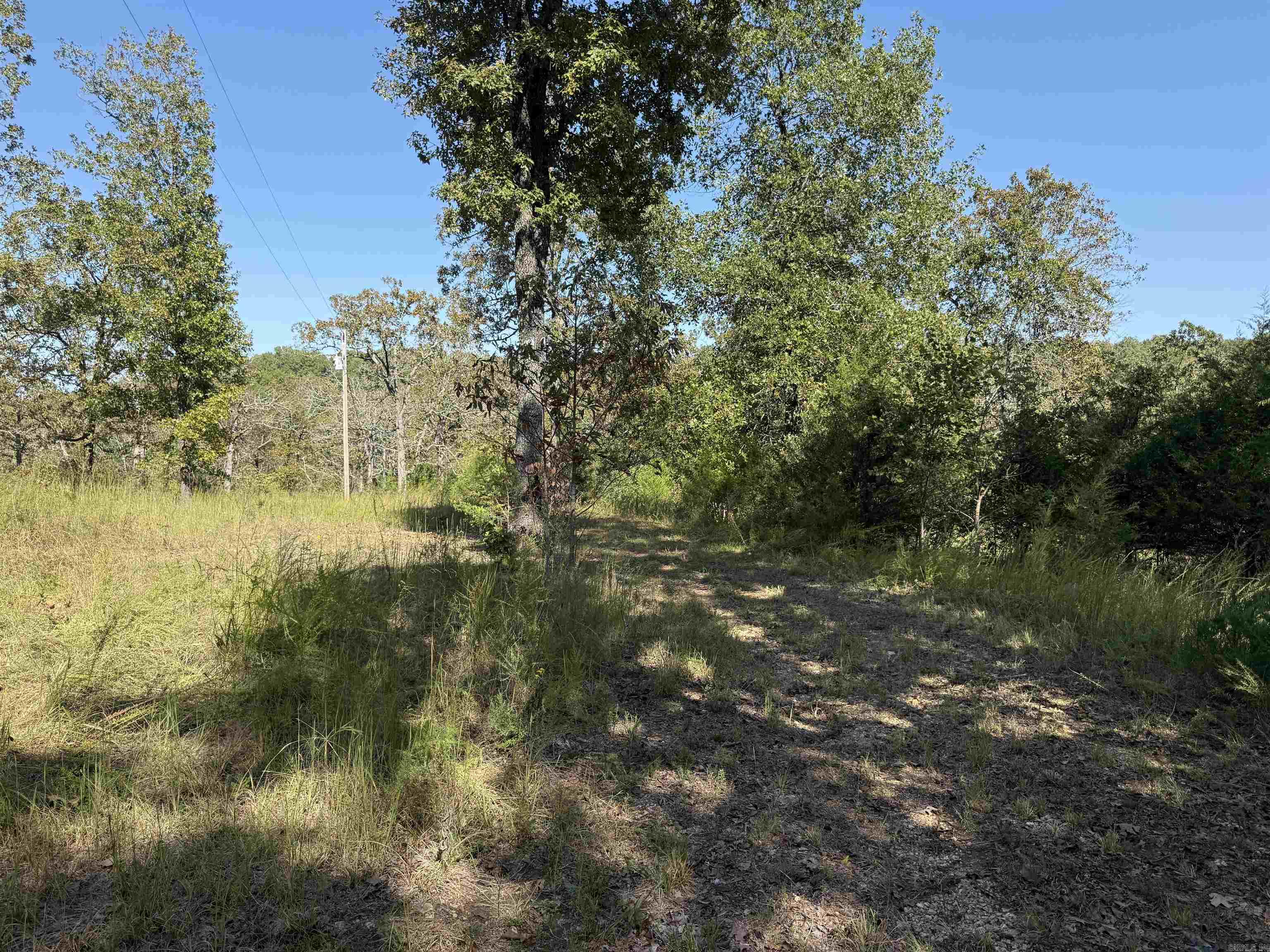 232  New Hope Road  Mountain Home, AR