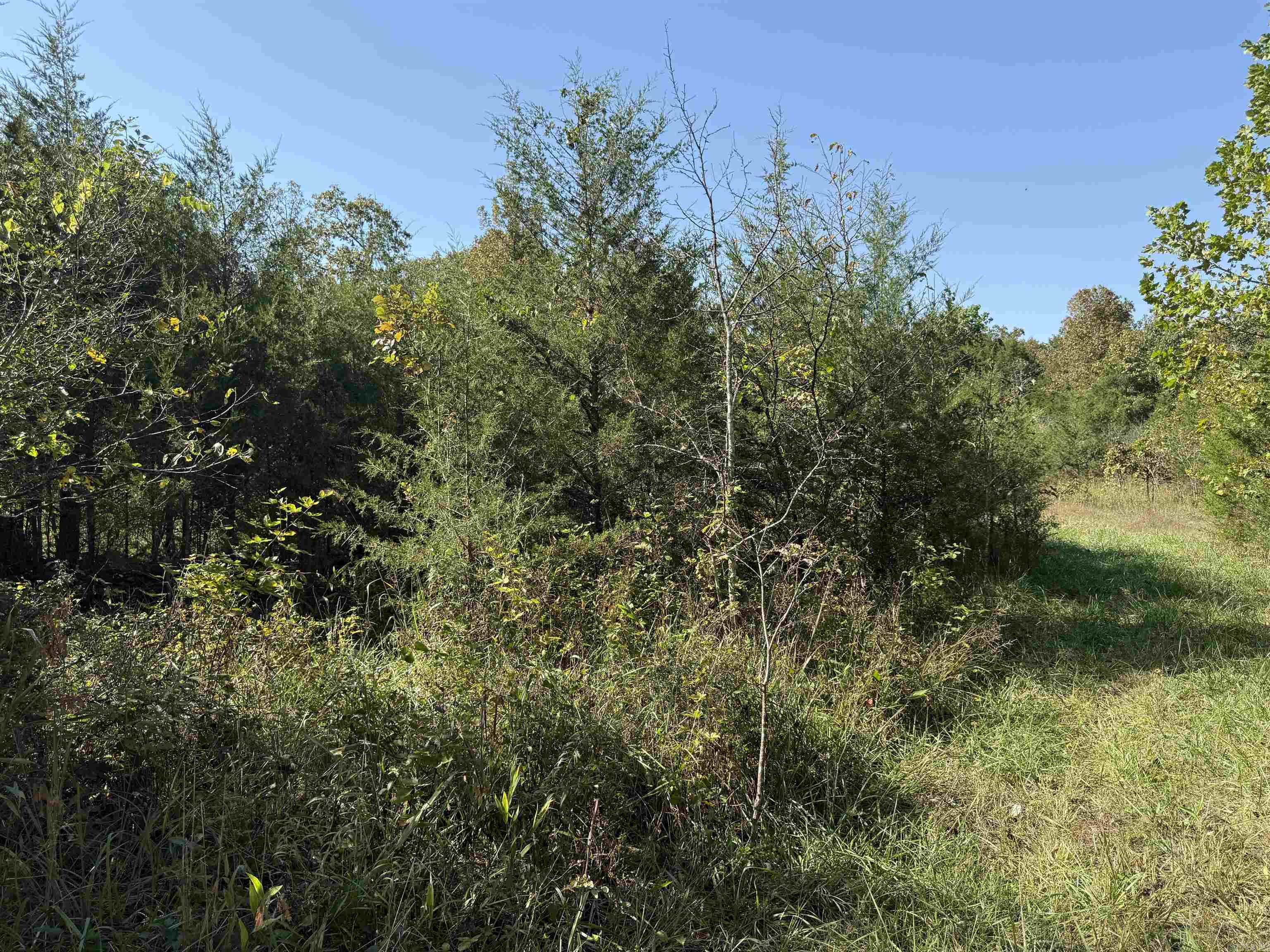 232  New Hope Road  Mountain Home, AR