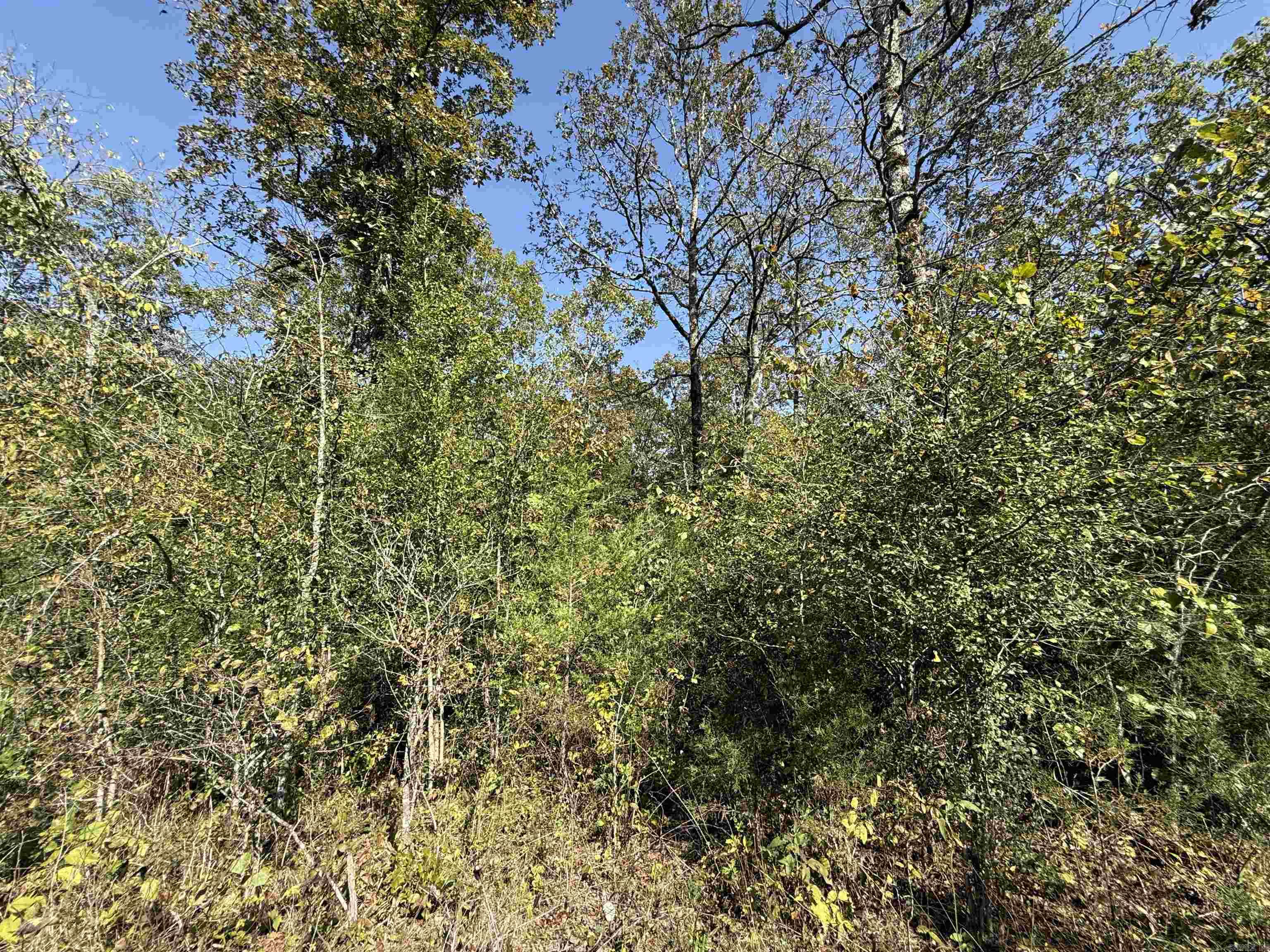 232  New Hope Road  Mountain Home, AR