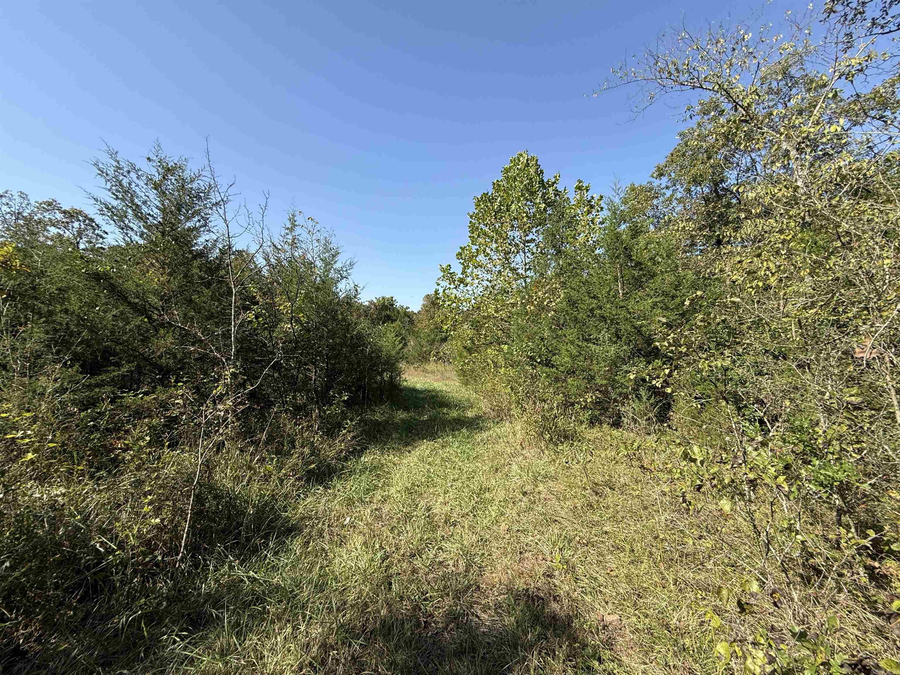 232  New Hope Road  Mountain Home, AR