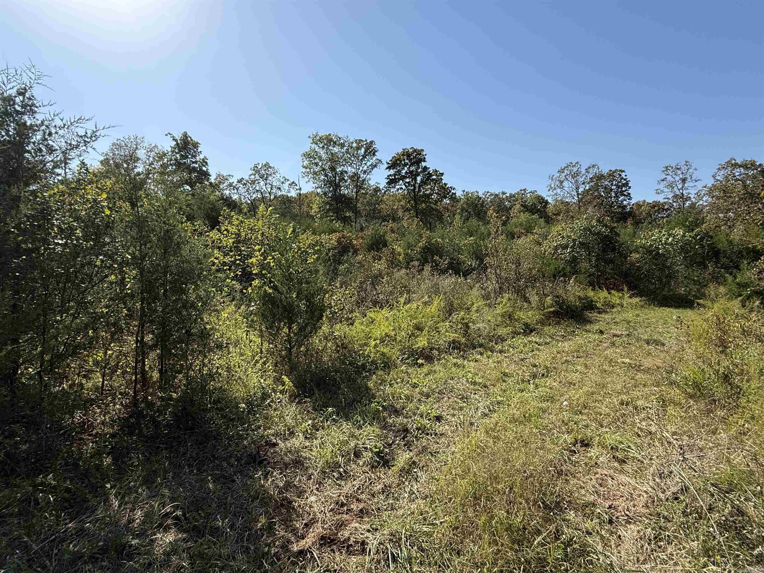 232  New Hope Road  Mountain Home, AR