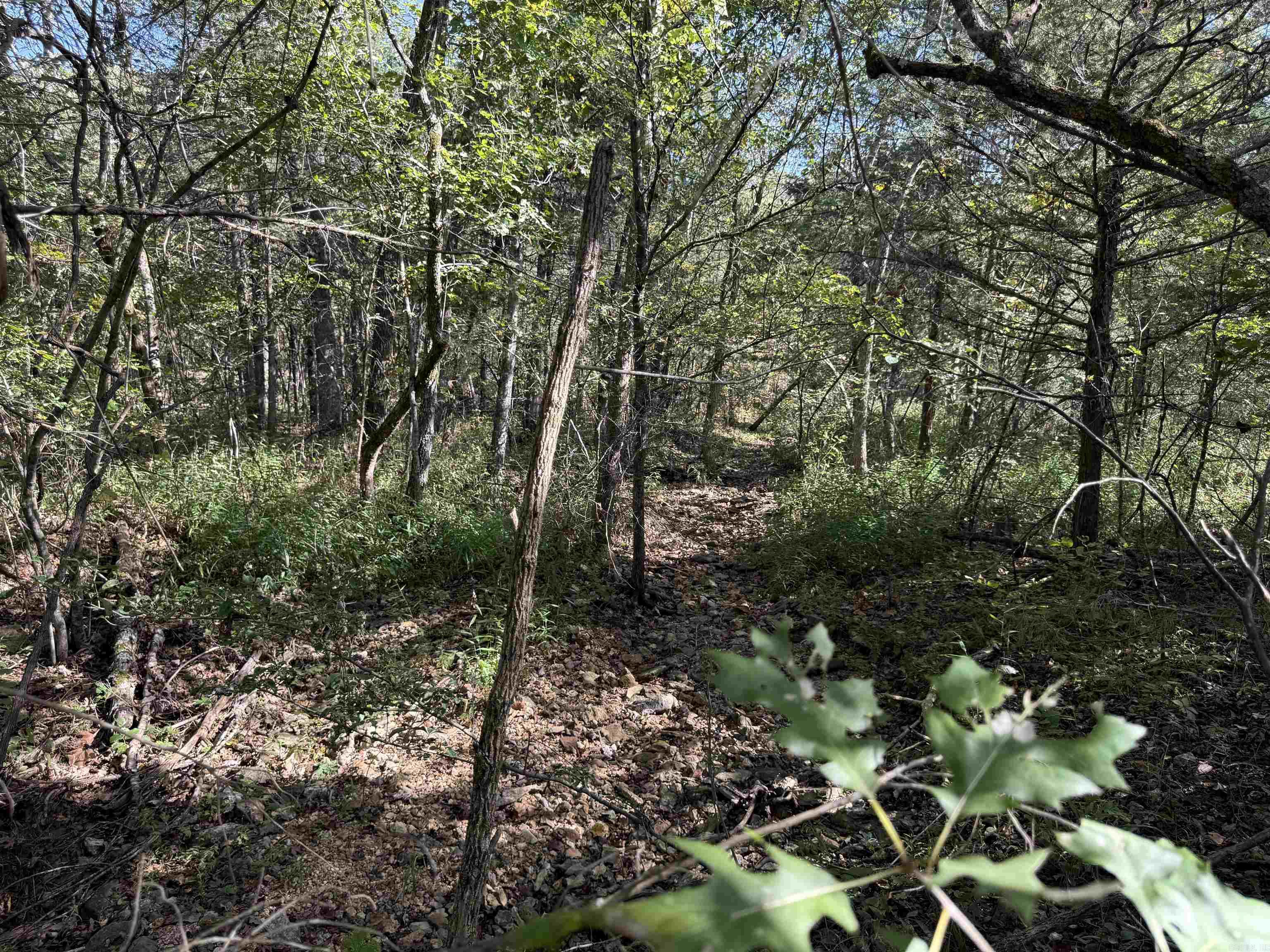 232  New Hope Road  Mountain Home, AR