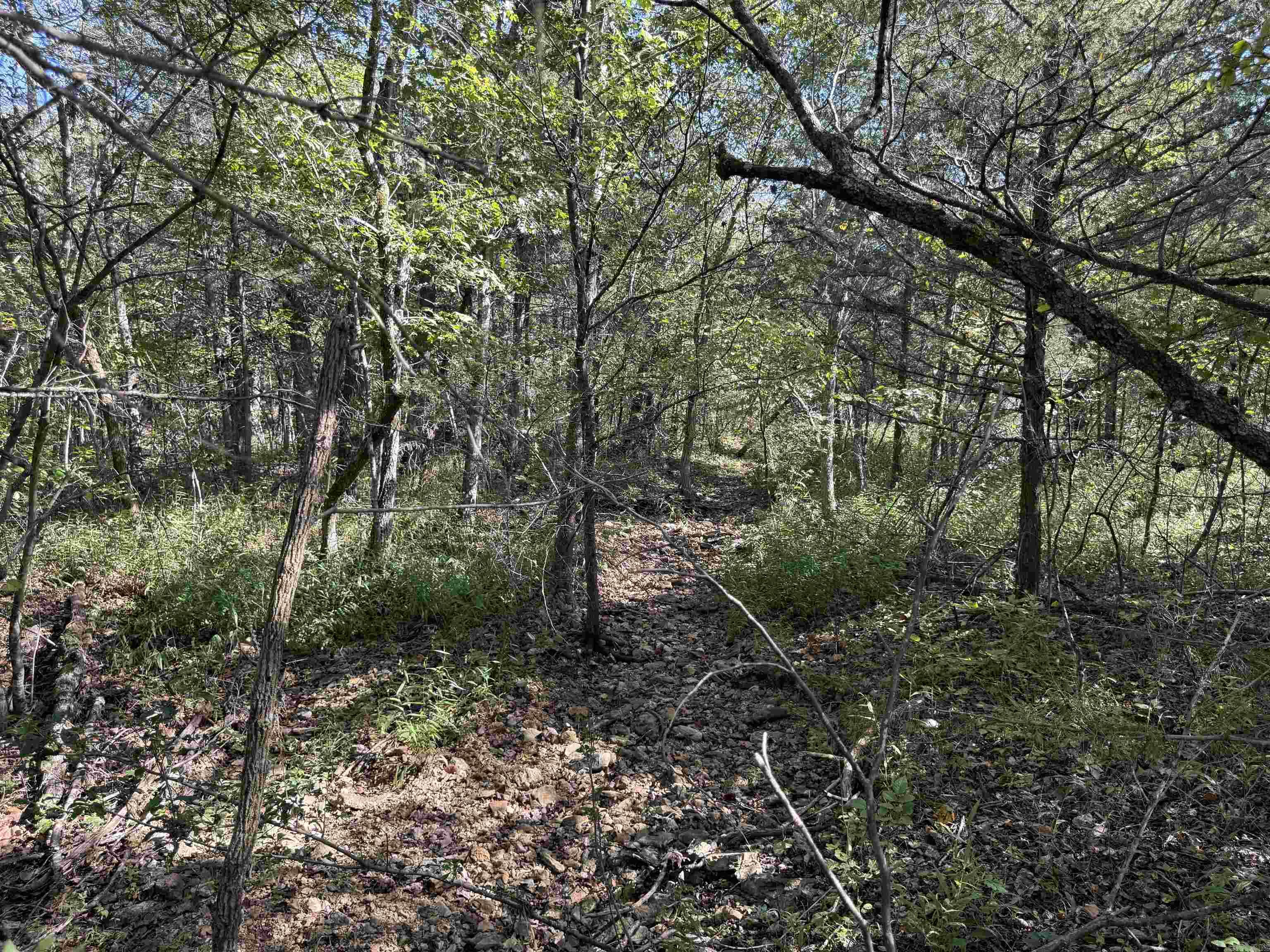 232  New Hope Road  Mountain Home, AR