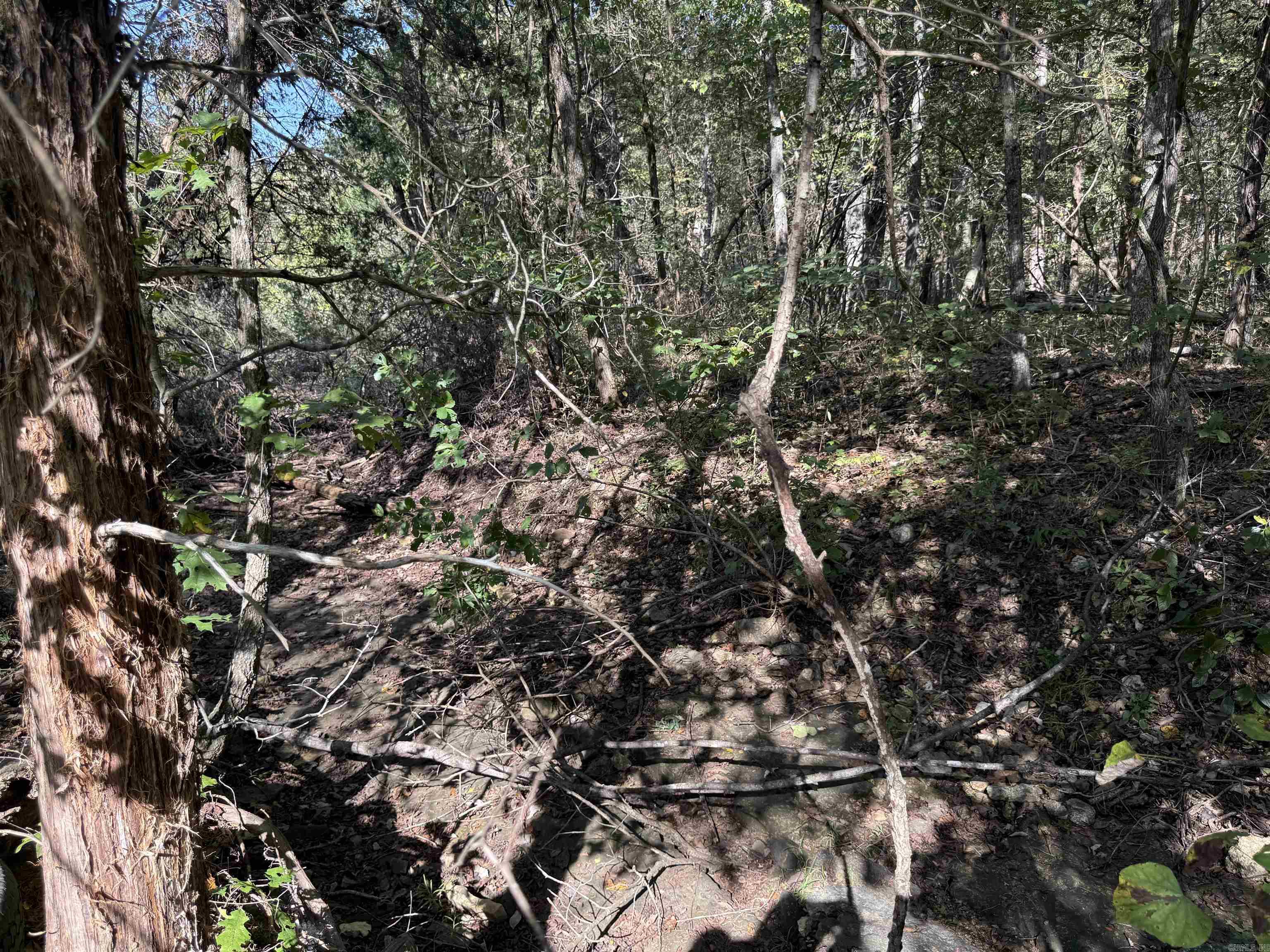 232  New Hope Road  Mountain Home, AR