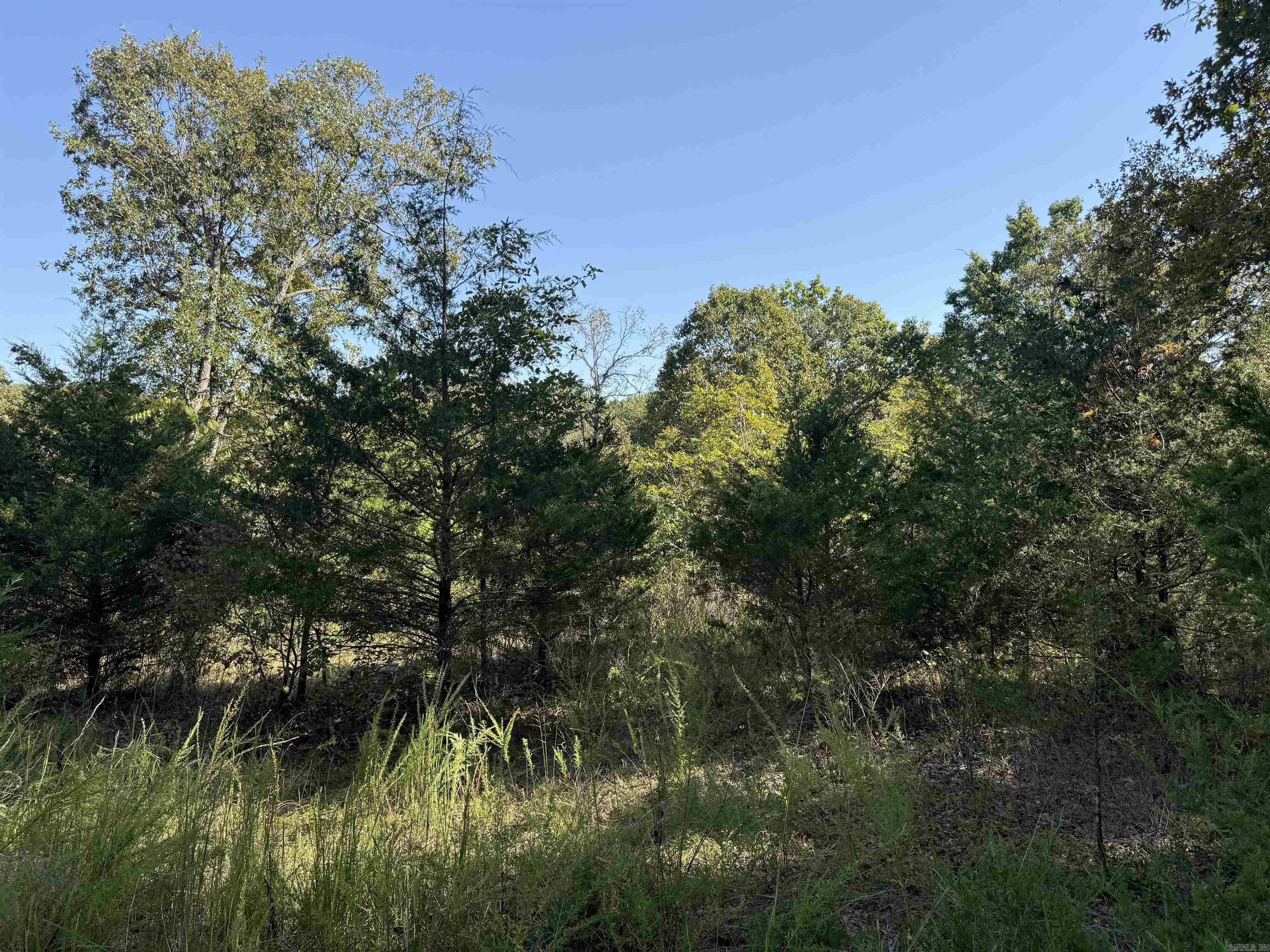 232  New Hope Road  Mountain Home, AR