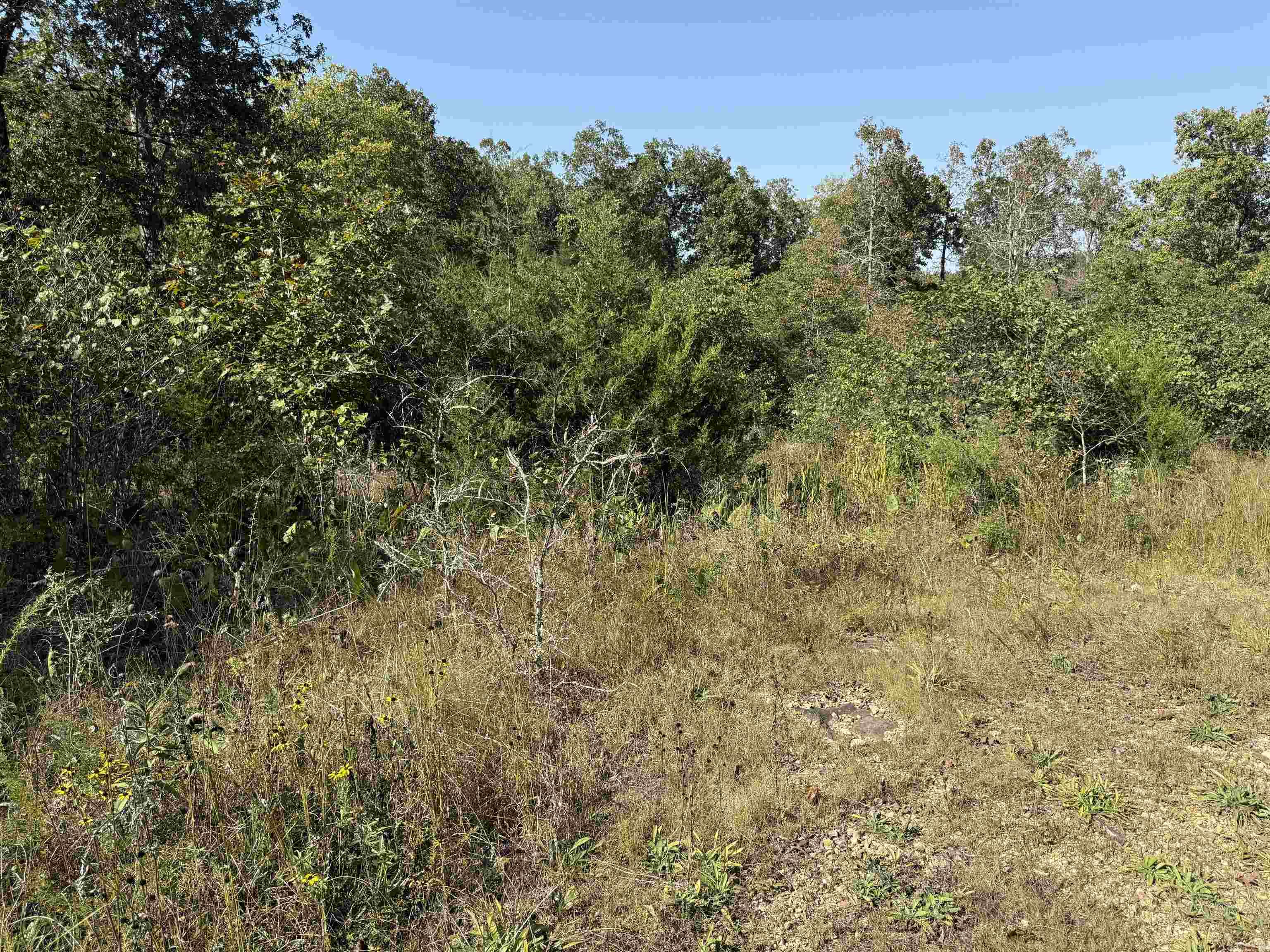 232  New Hope Road  Mountain Home, AR