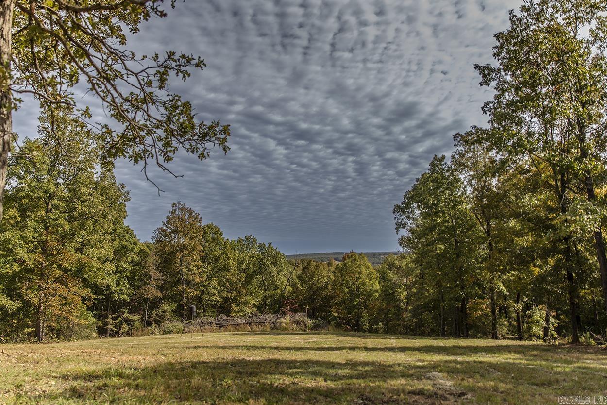 38  Oak Ridge Drive  Henderson, AR