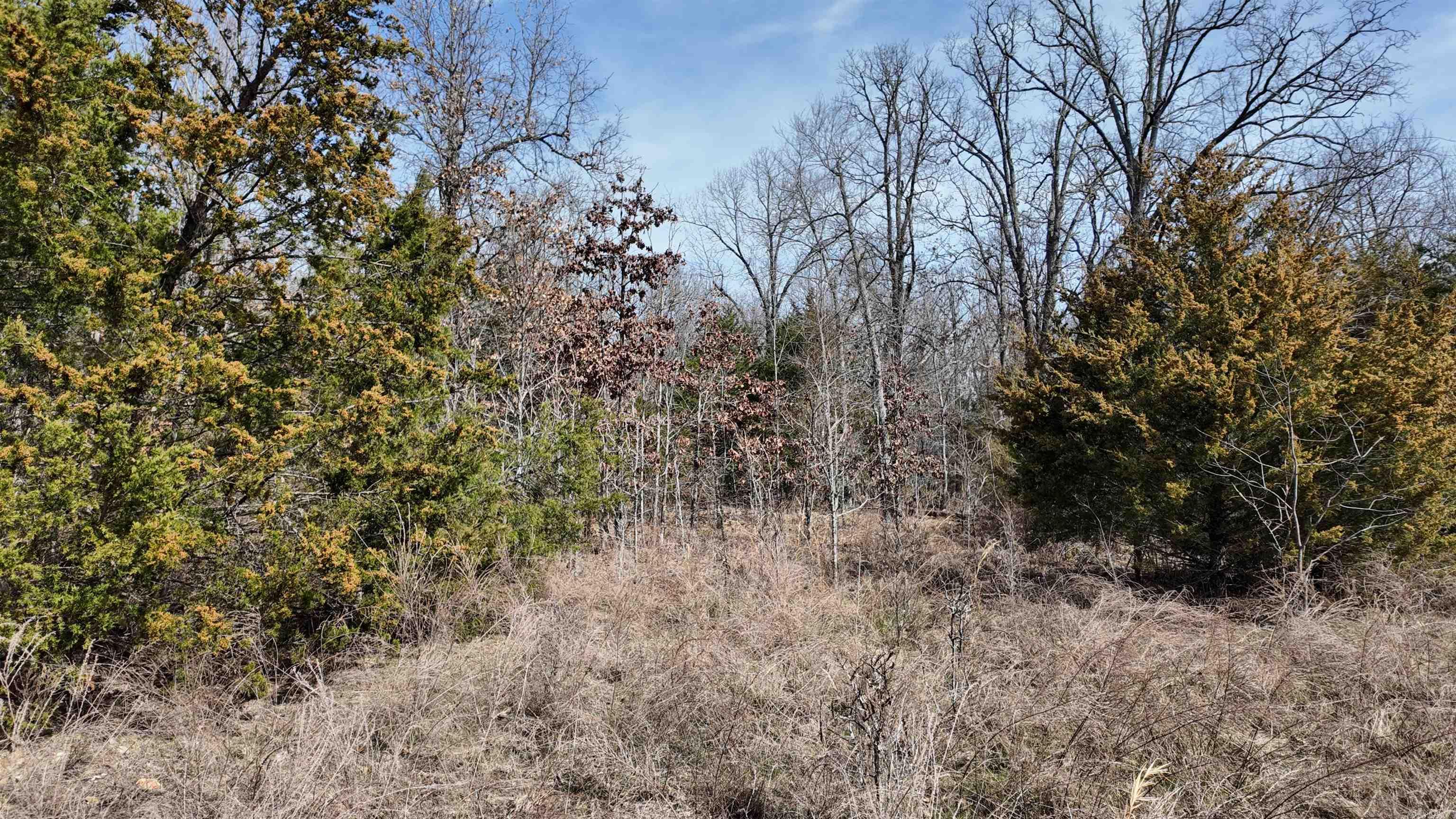 000  Gala Lane 001-09611-000 Peel, AR