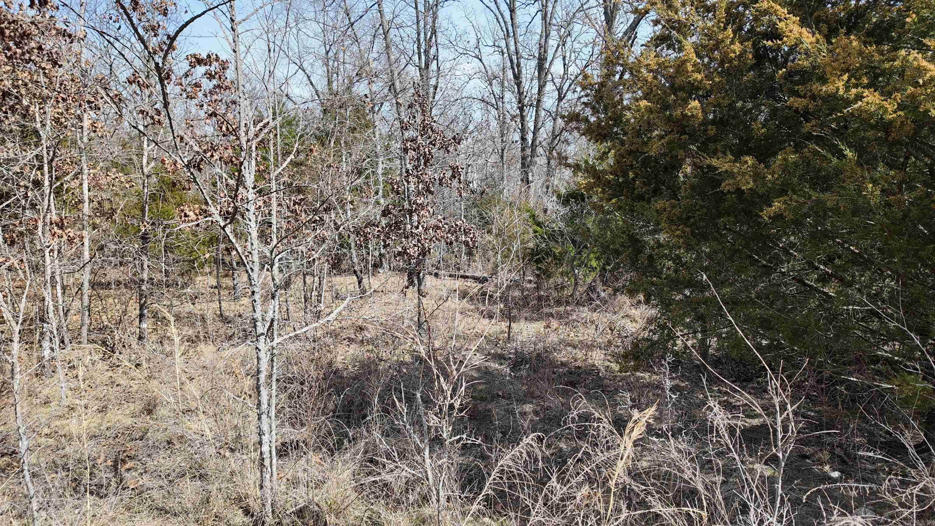000  Gala Lane 001-09611-000 Peel, AR