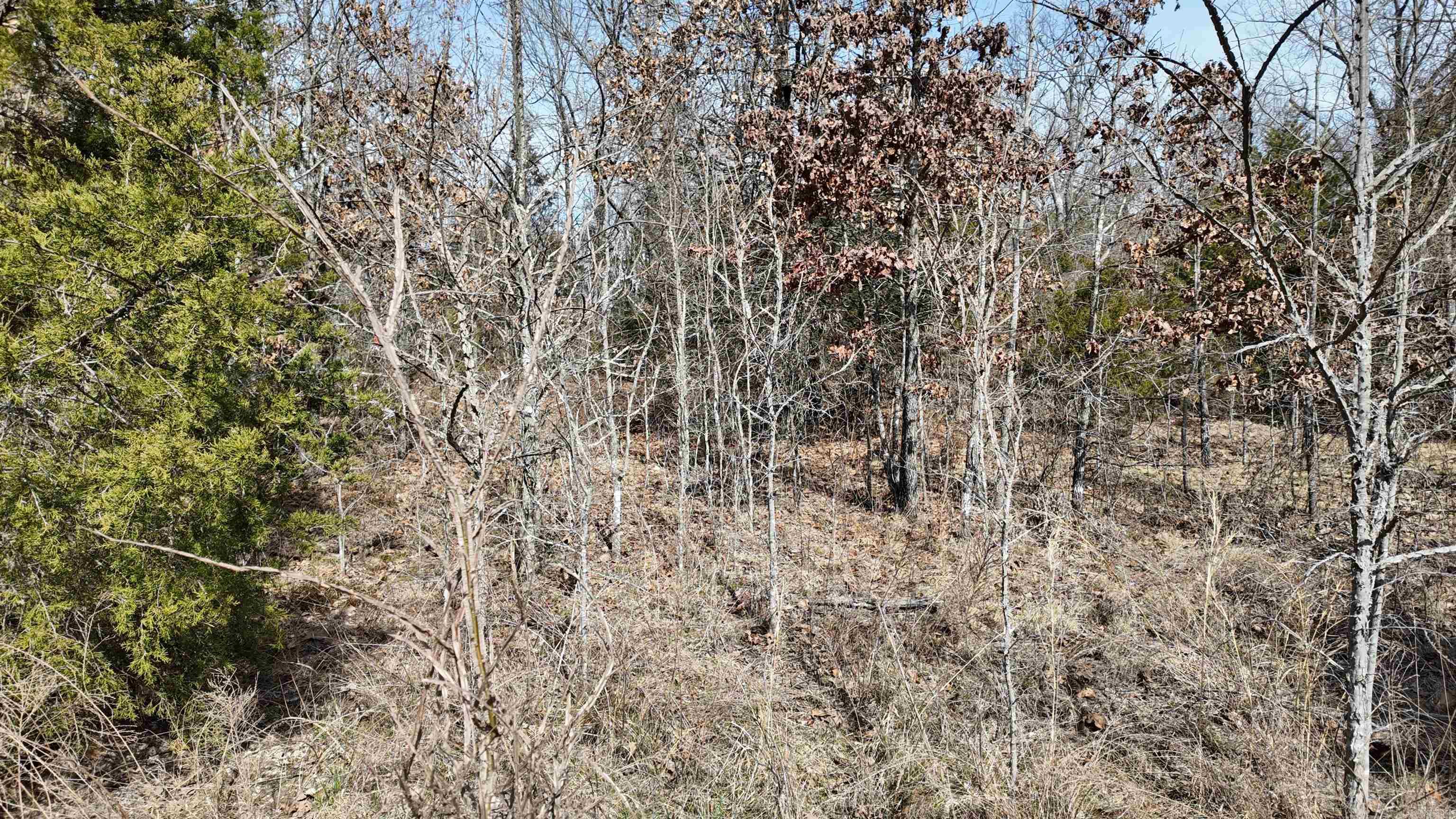 000  Gala Lane 001-09611-000 Peel, AR