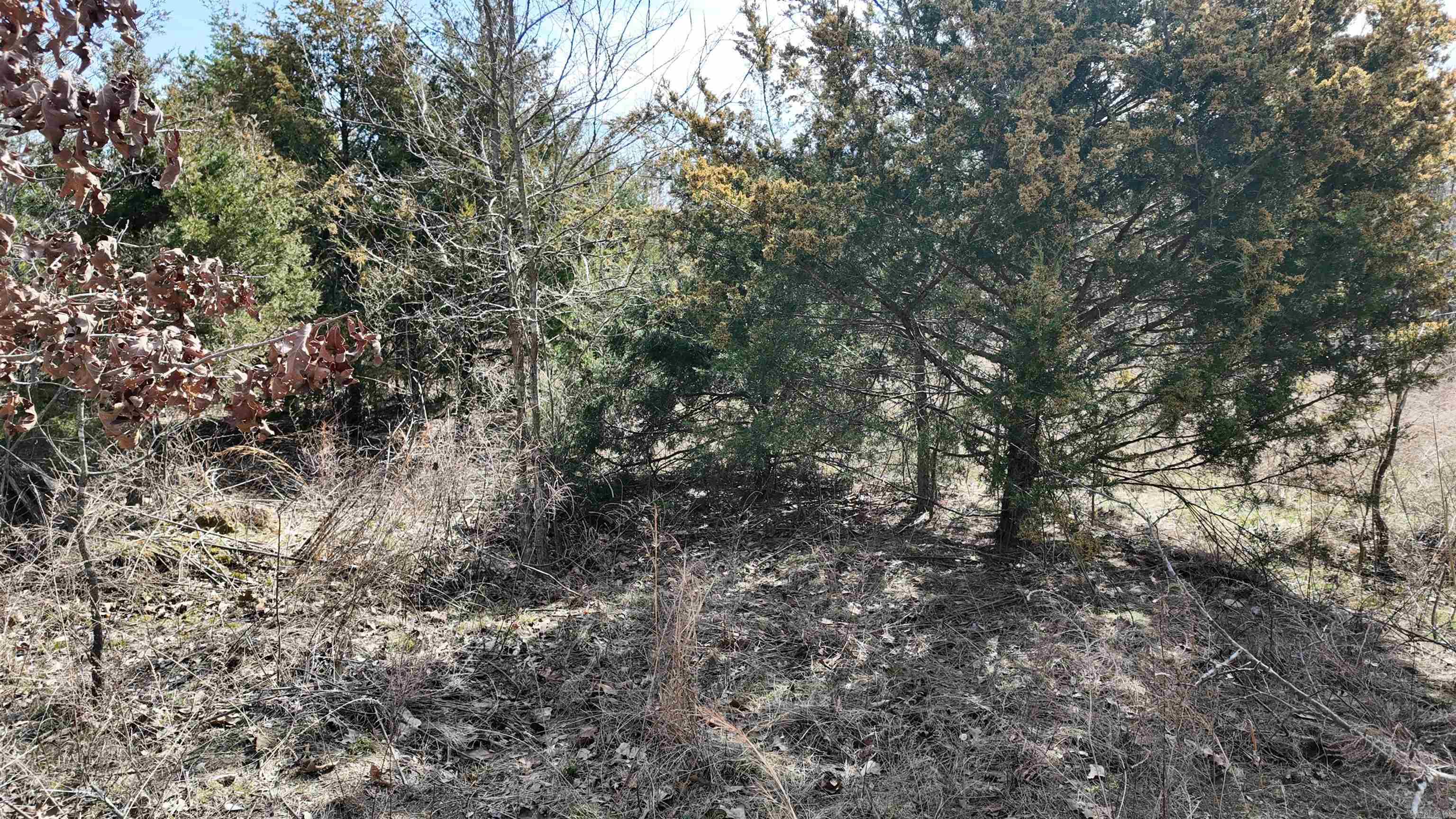 000  Gala Lane 001-09611-000 Peel, AR